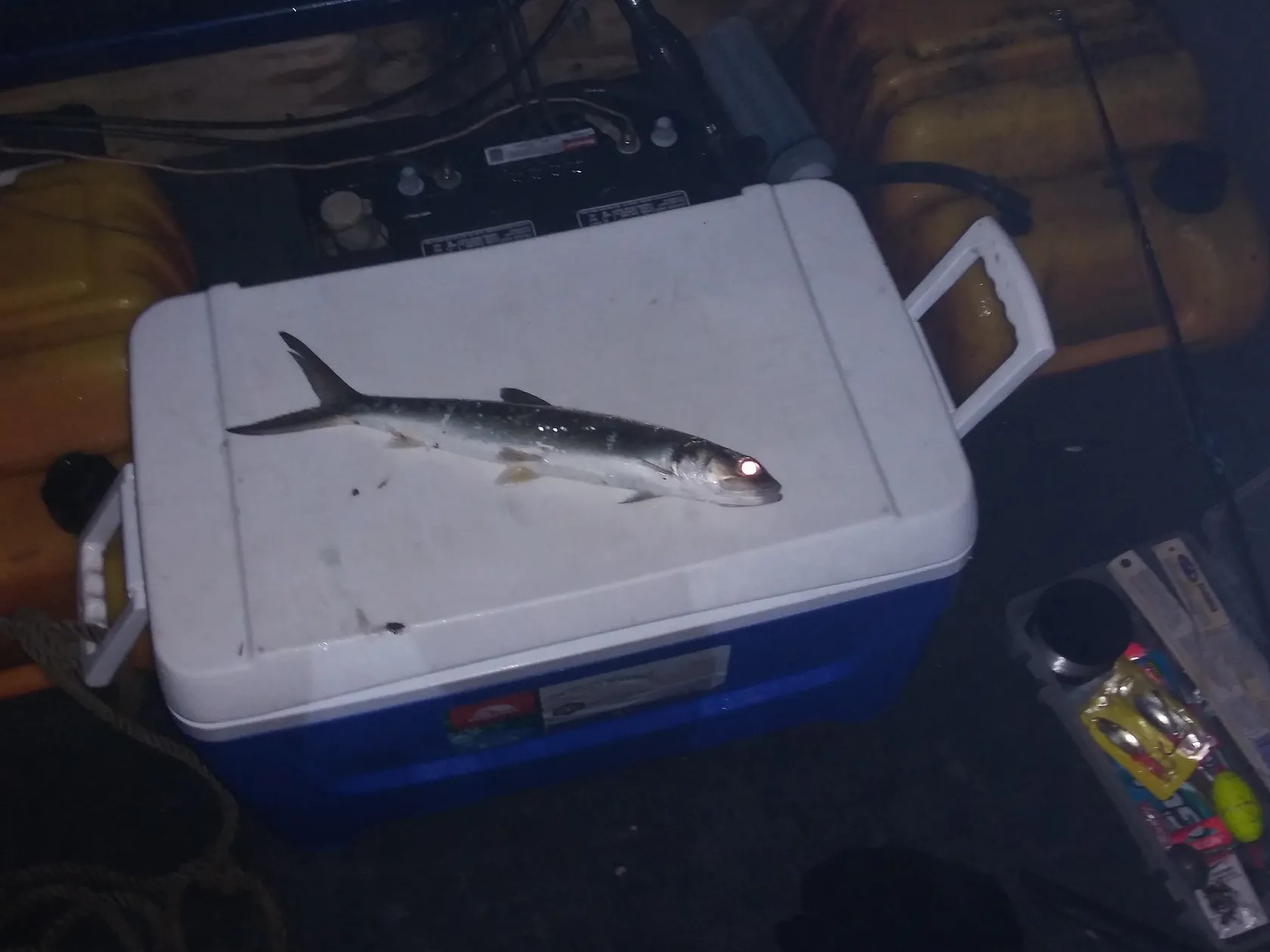 Post image from jones.rob