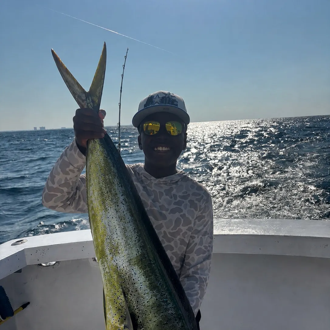 Common dolphinfish caught on Fishbrain