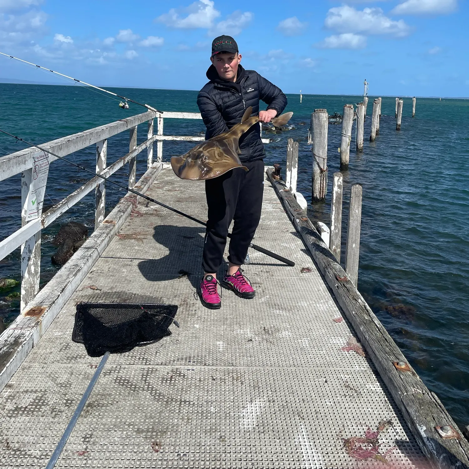 Southern fiddler caught on Fishbrain