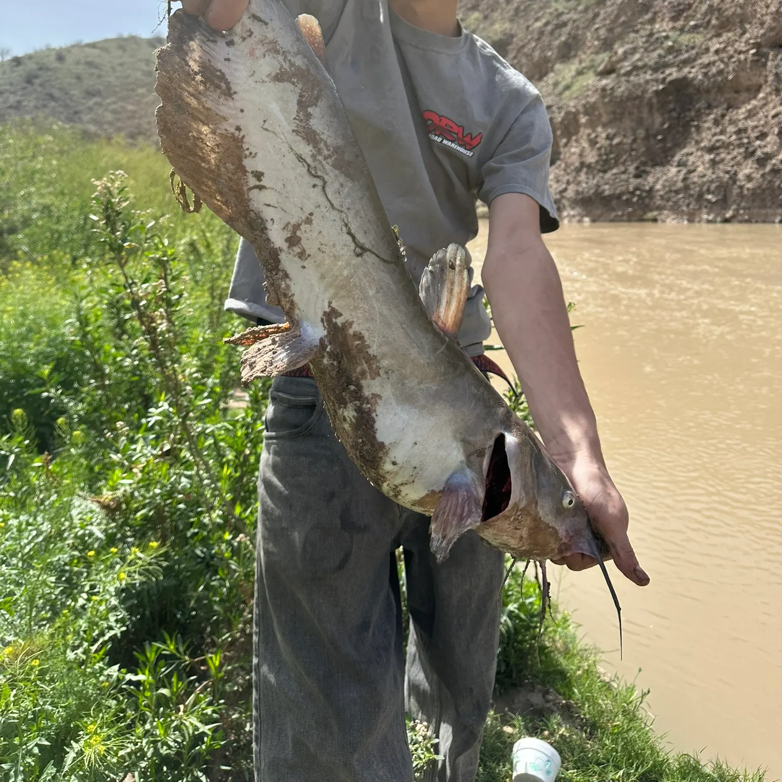 catch