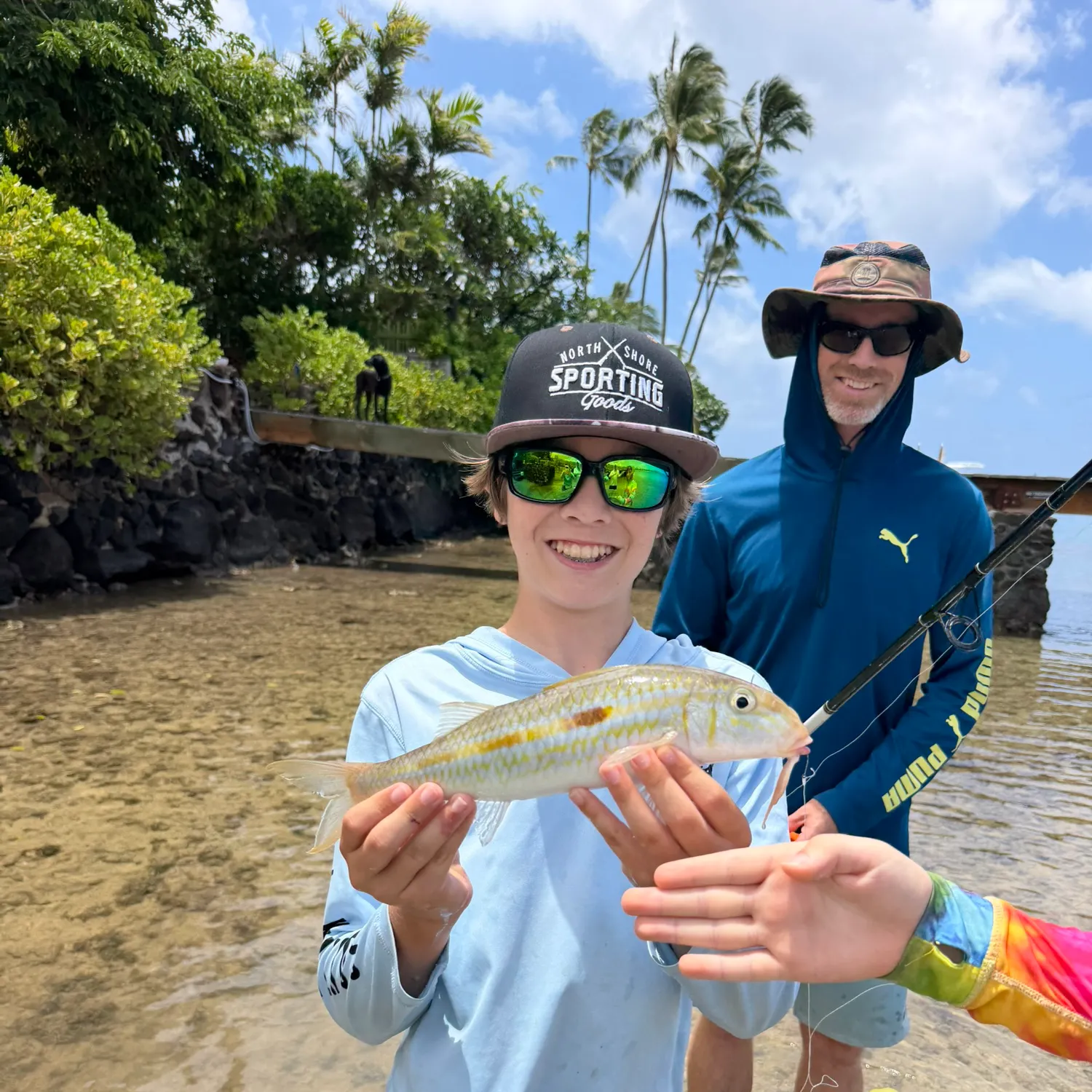 The most recent Yellowstripe goatfish catches on Fishbrain