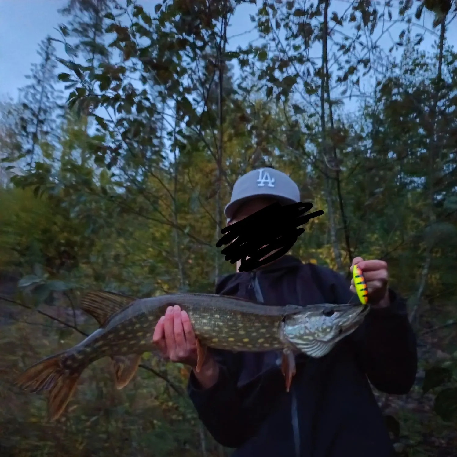Northern pike caught on Fishbrain