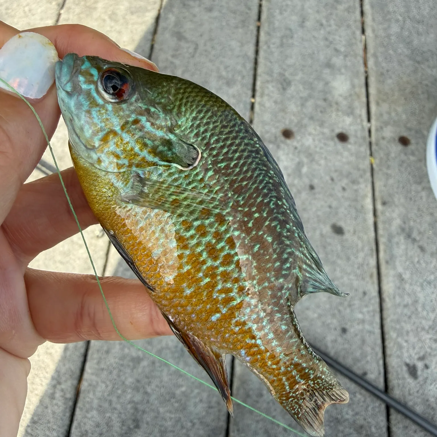 catch