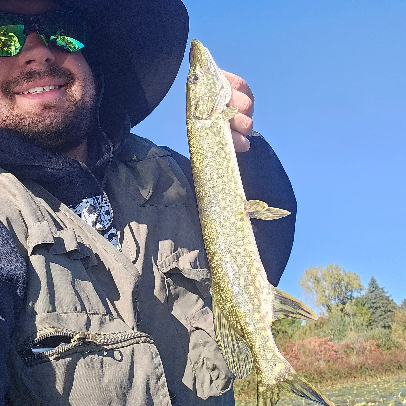 Northern pike caught on Fishbrain
