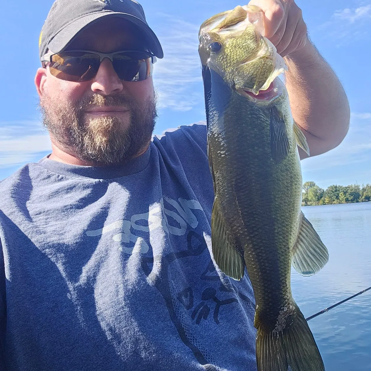 Largemouth bass caught on Fishbrain