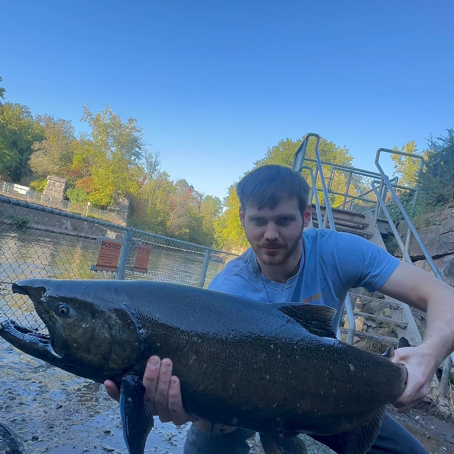 Chinook salmon caught on Fishbrain