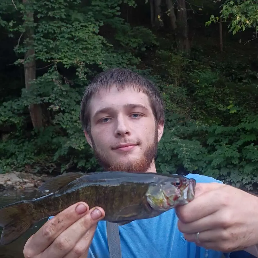 Smallmouth bass caught on Fishbrain