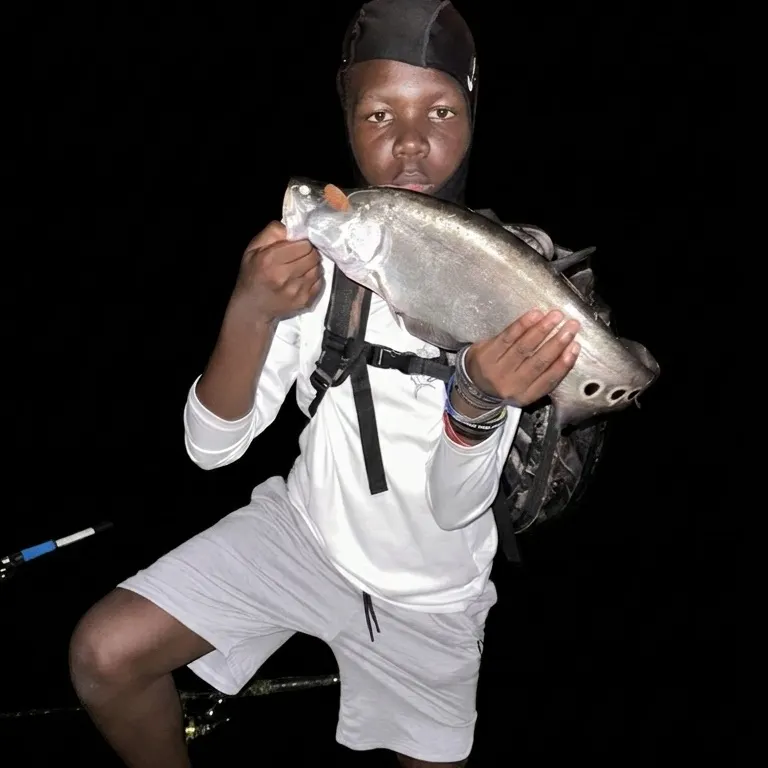 The most recent Clown knifefish catches on Fishbrain