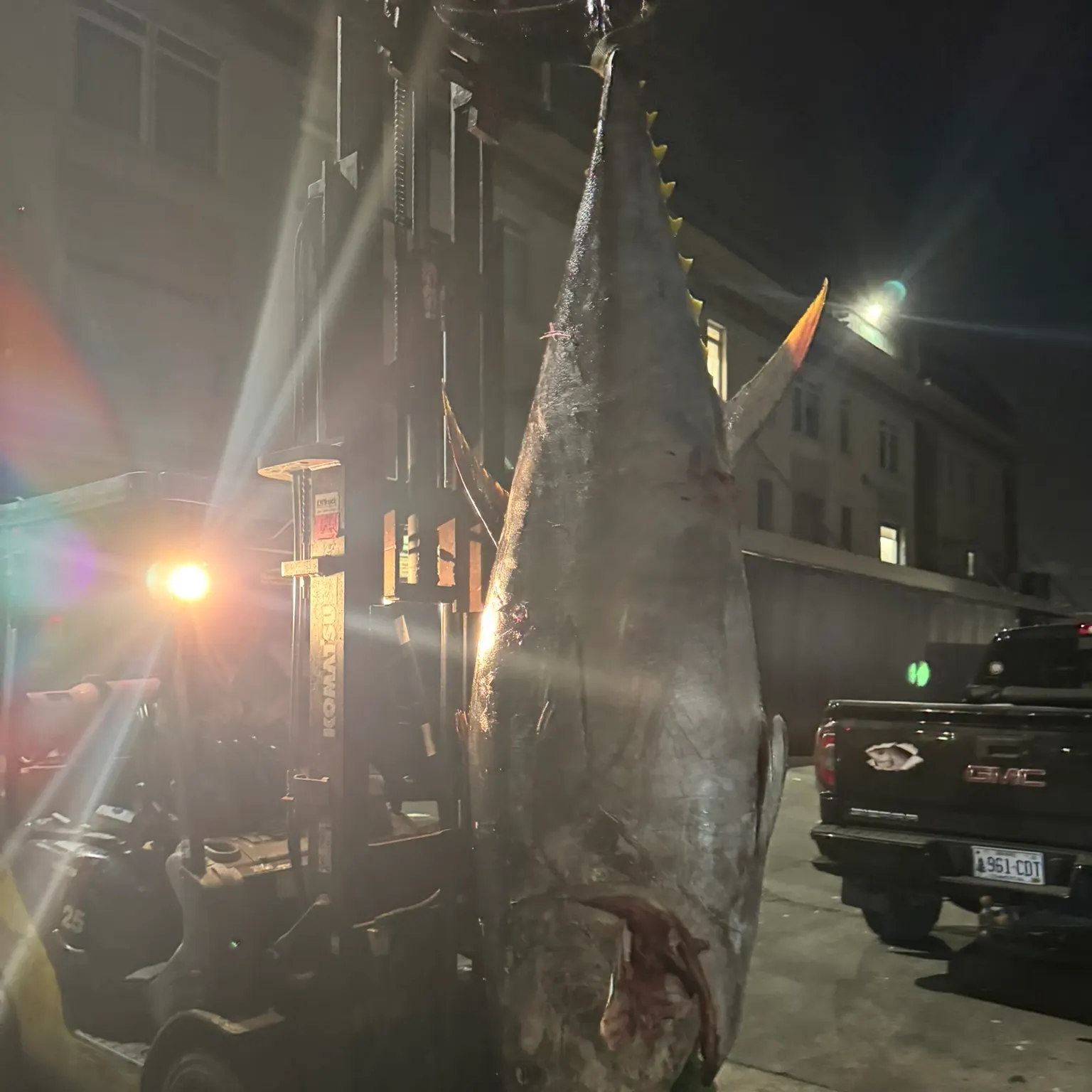 The most recent Atlantic bluefin tuna catches on Fishbrain