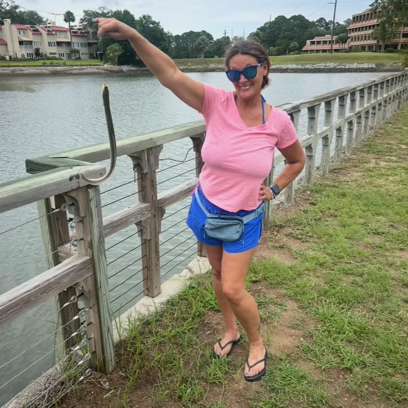 The most recent American eel catches on Fishbrain