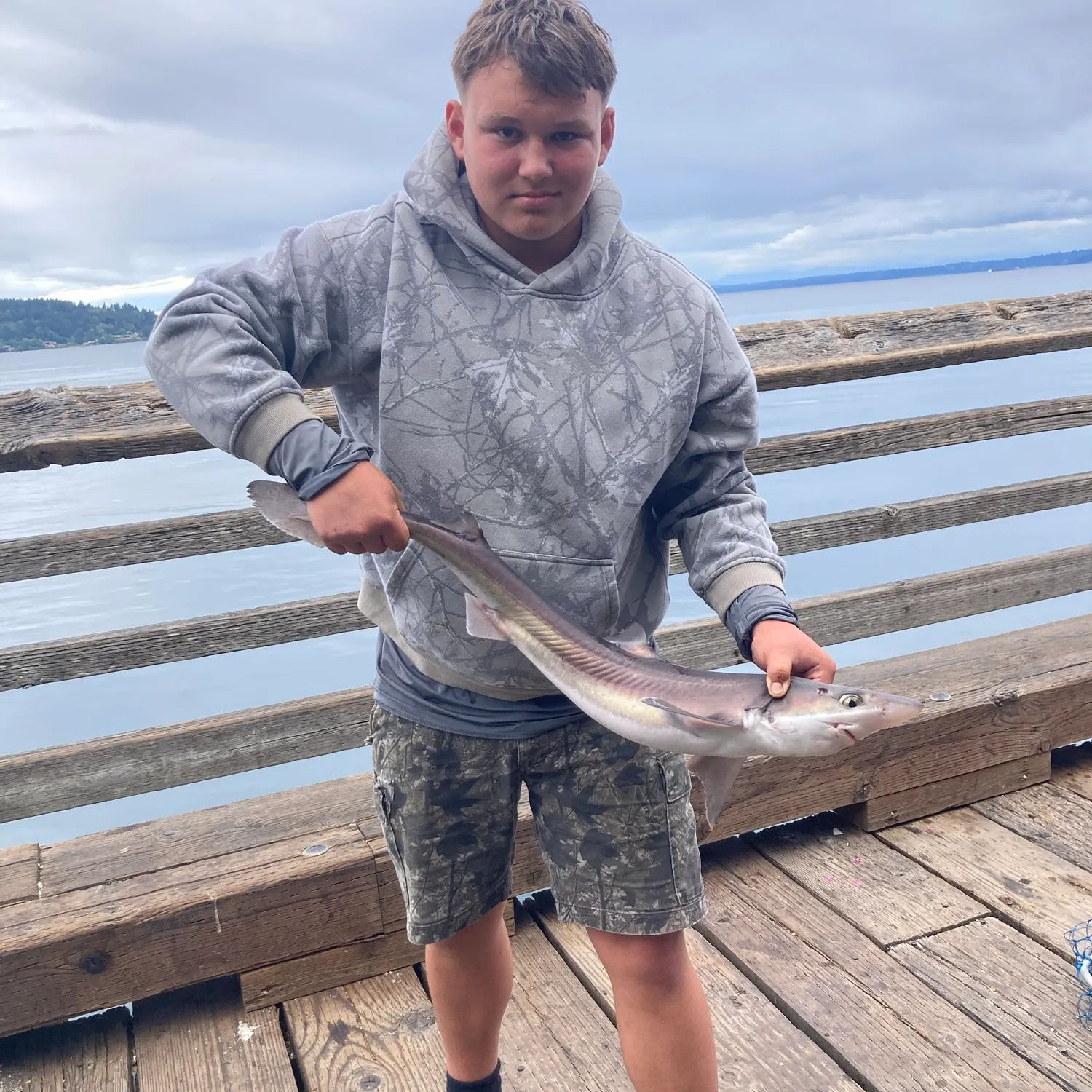 Pacific spiny dogfish caught on Fishbrain