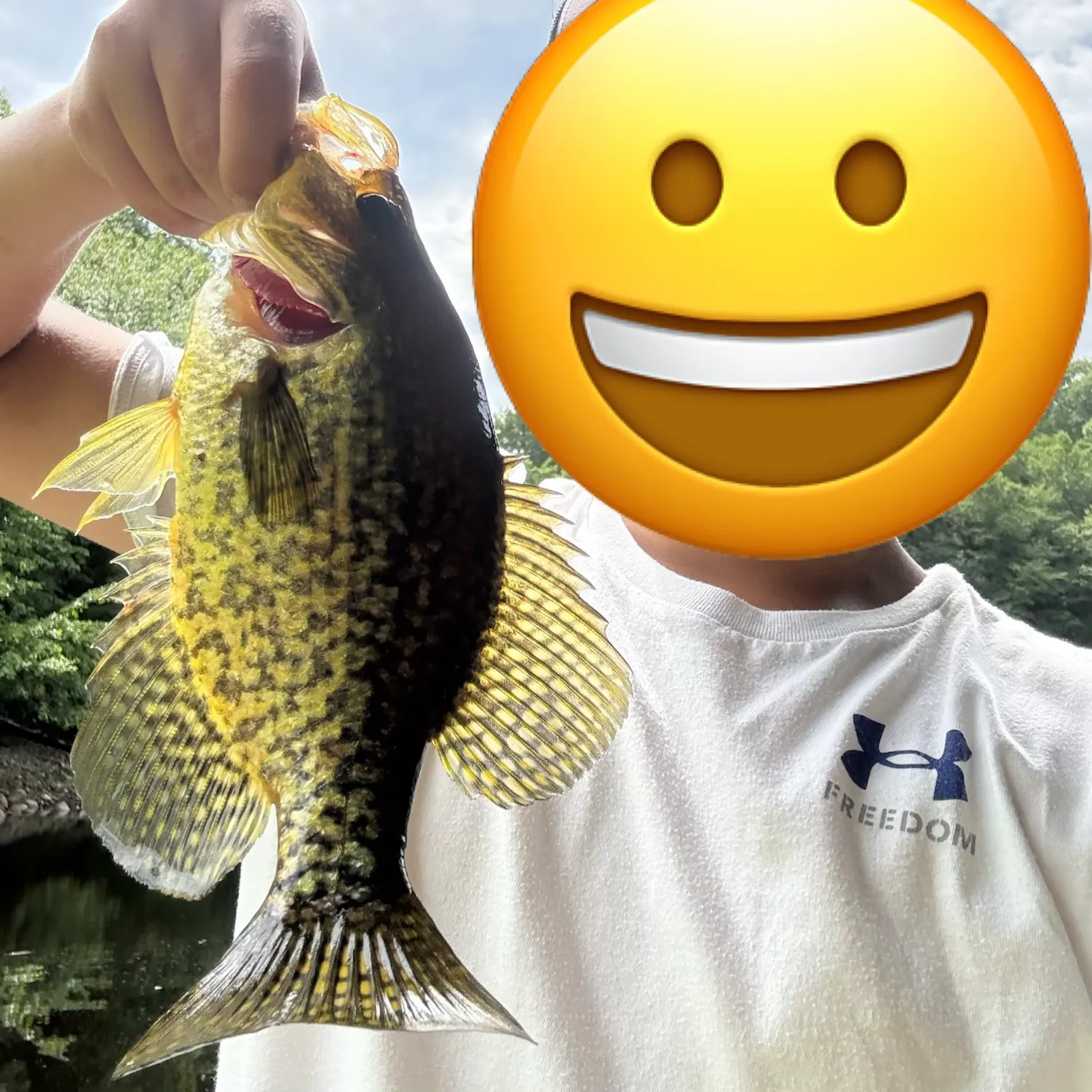 Black crappie caught on Fishbrain