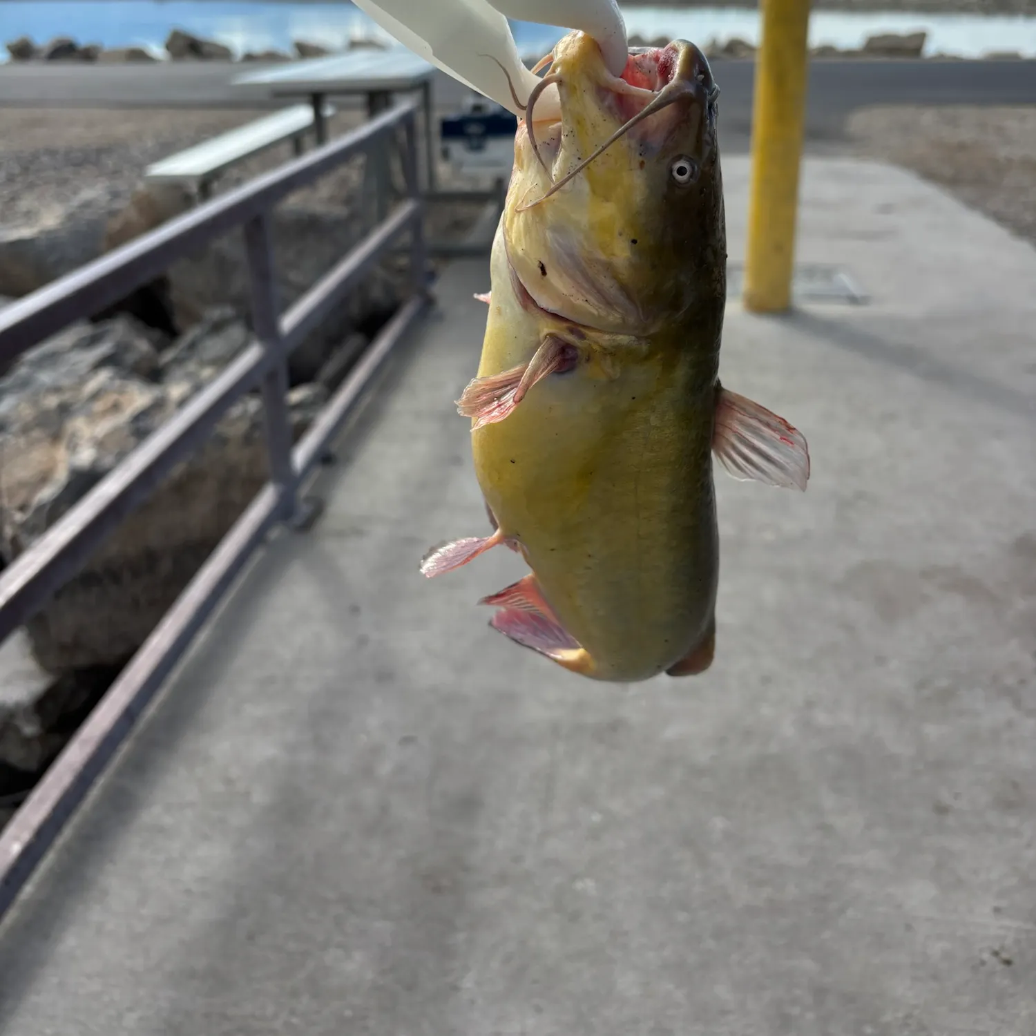 catch