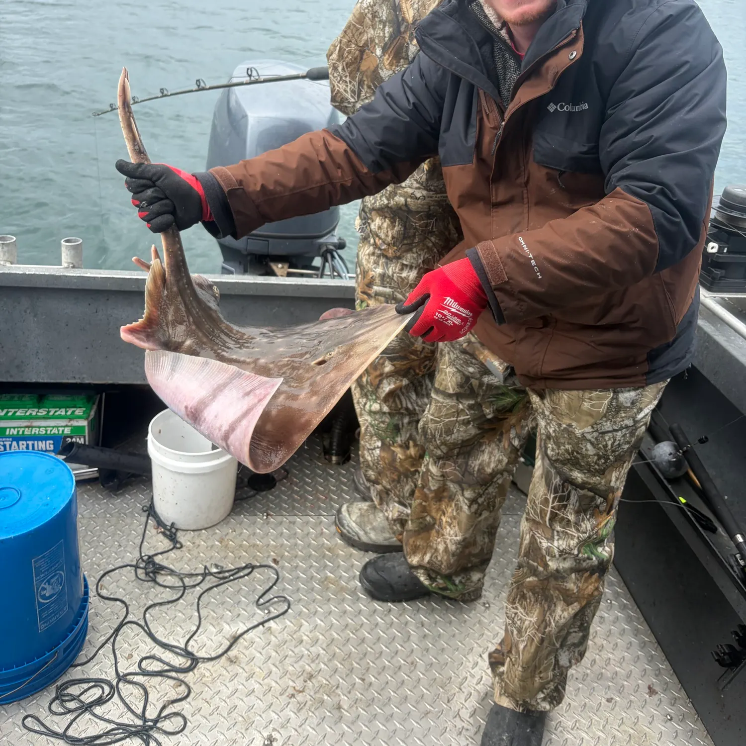 The most recent Sepia stingray catches on Fishbrain