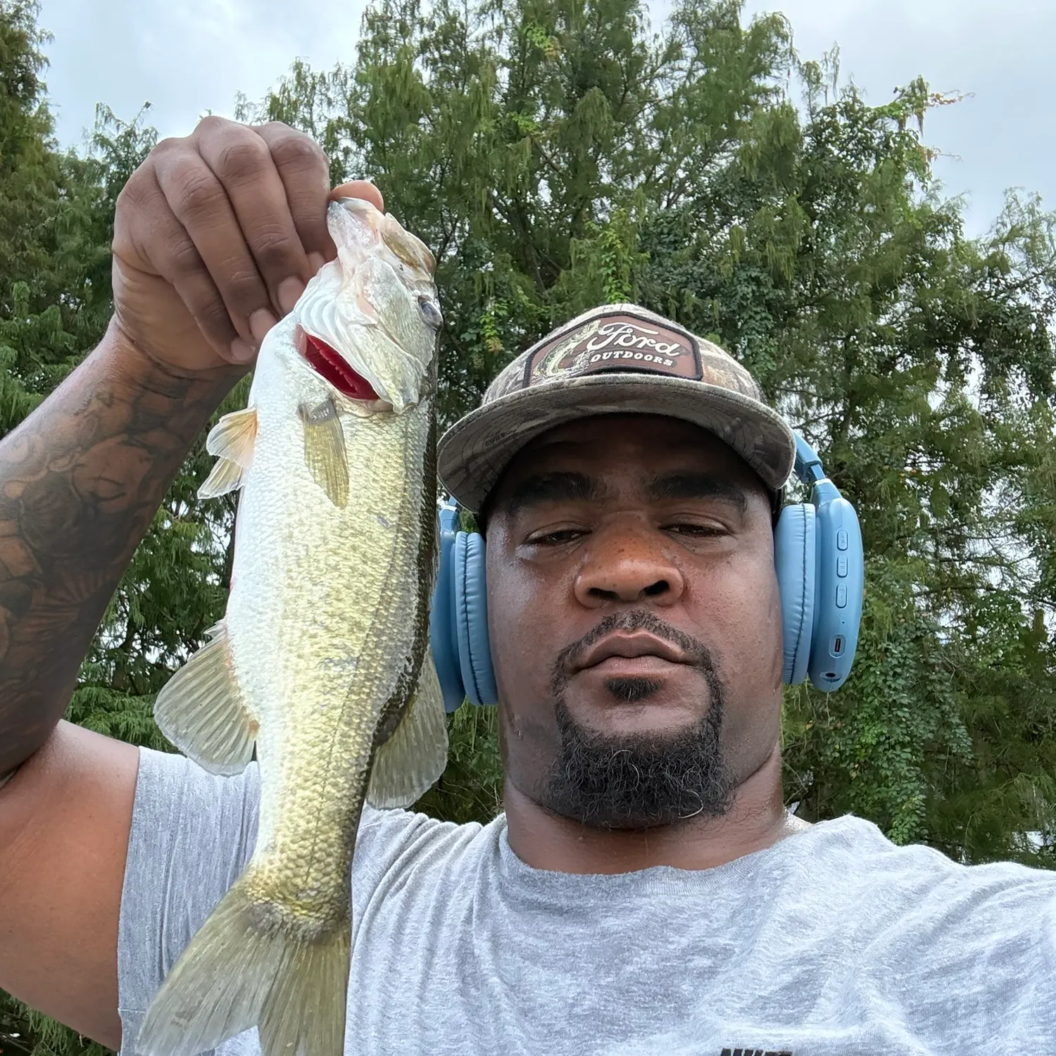 Largemouth bass caught on Fishbrain