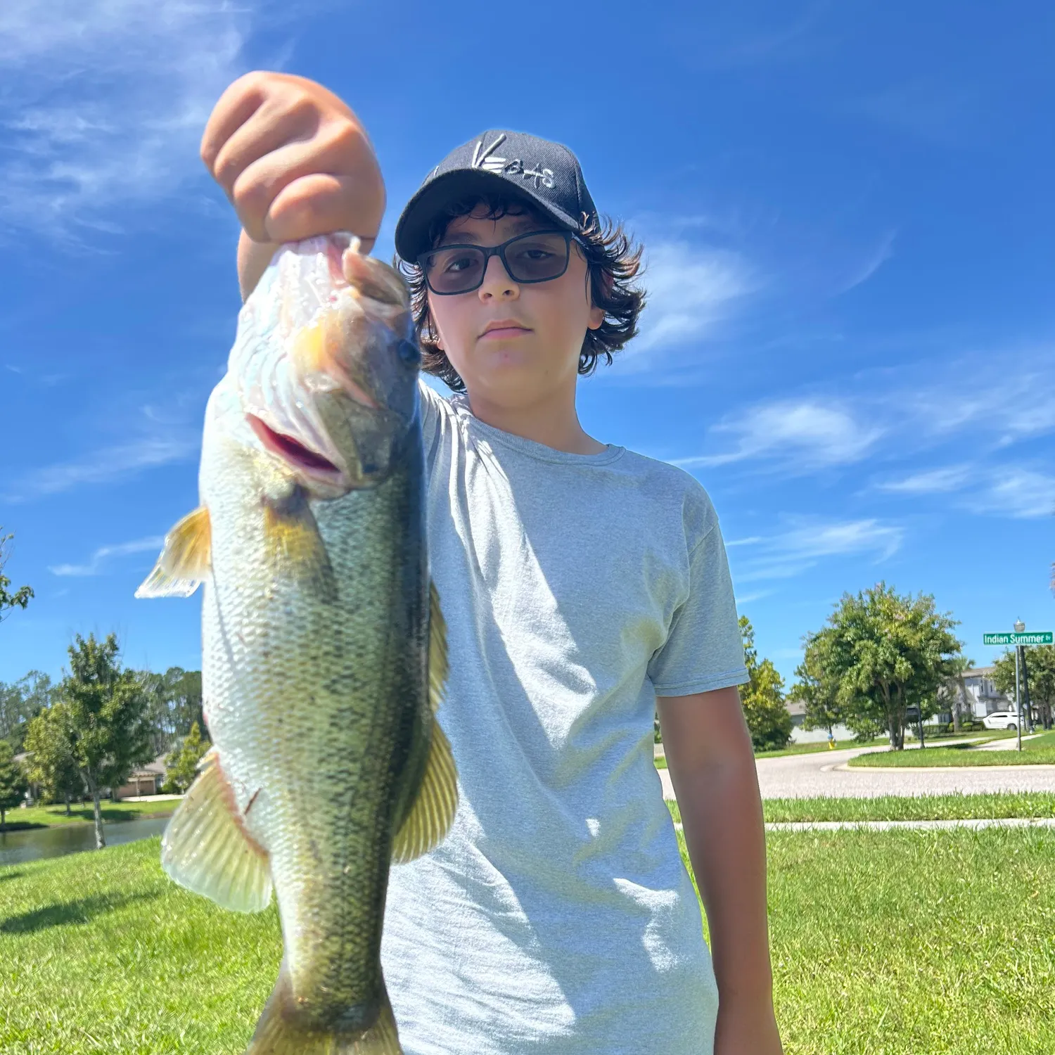 Largemouth bass caught on Fishbrain