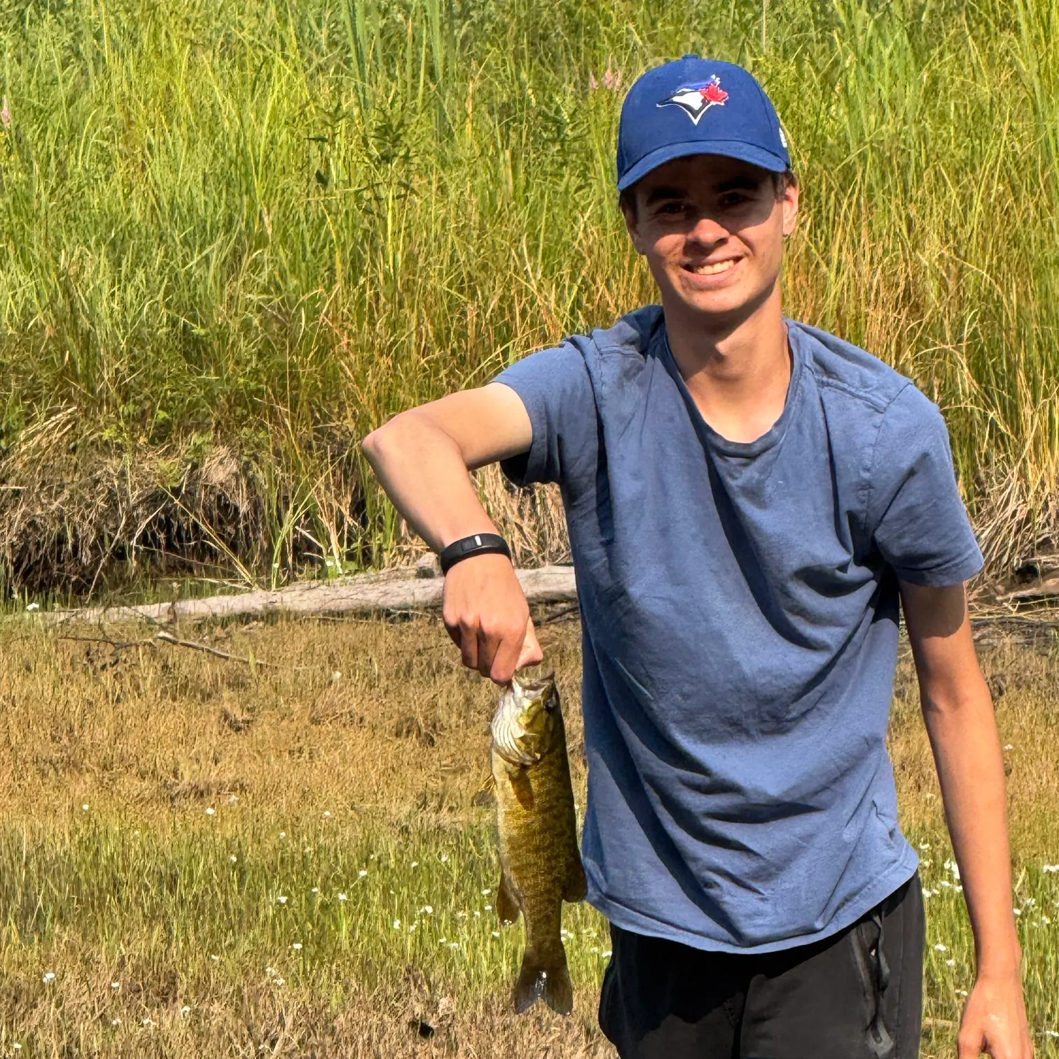 Smallmouth bass caught on Fishbrain