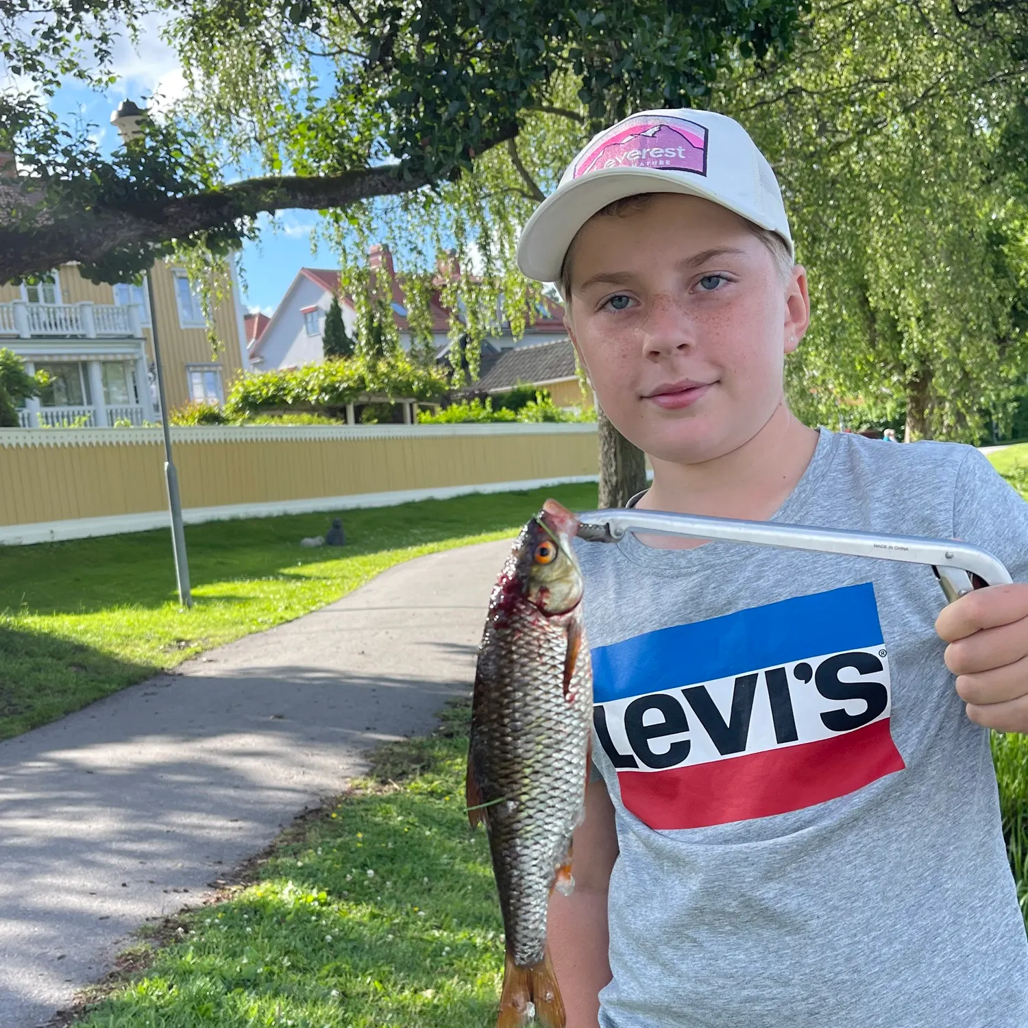 The most recent Common roach catches on Fishbrain