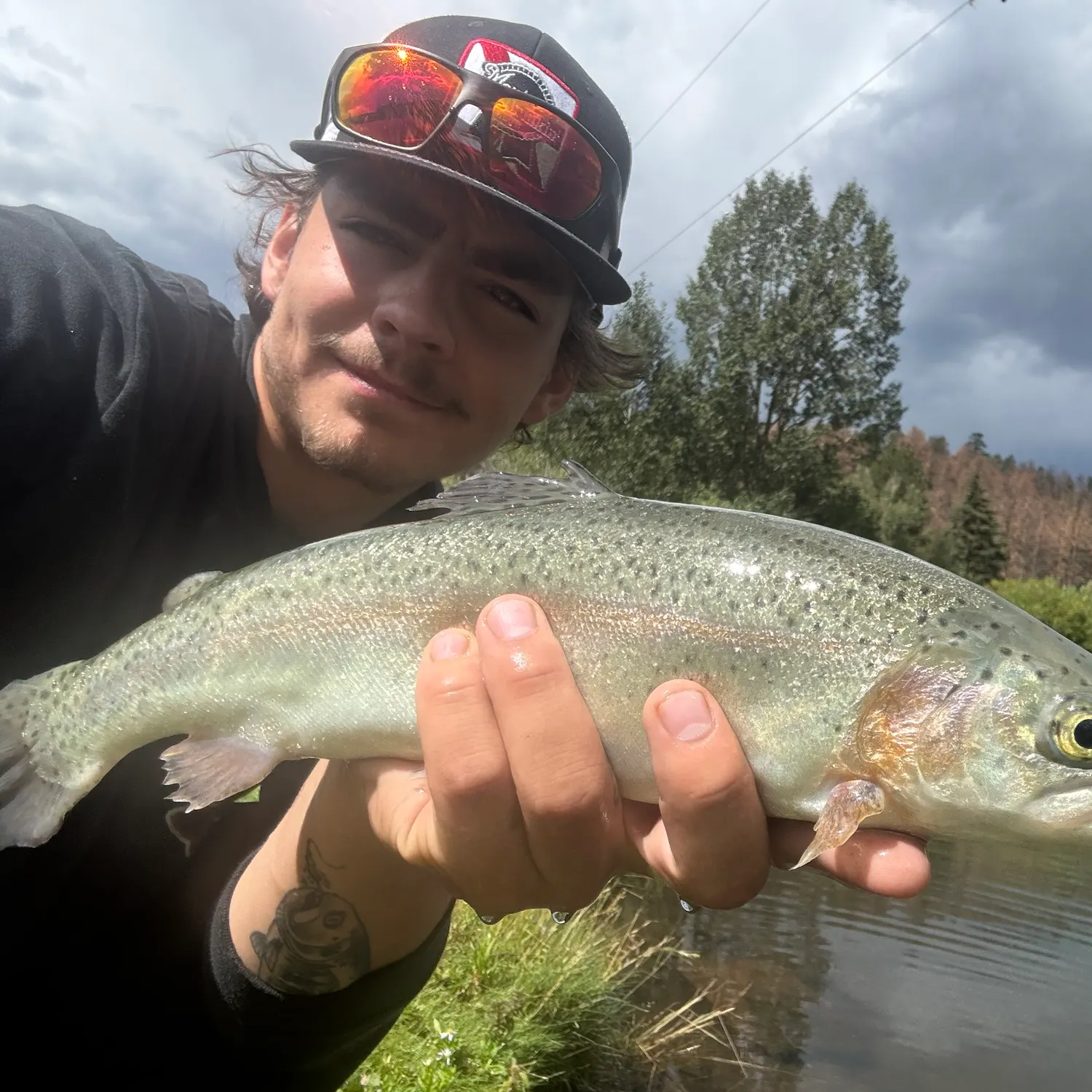 Rainbow trout caught on Fishbrain