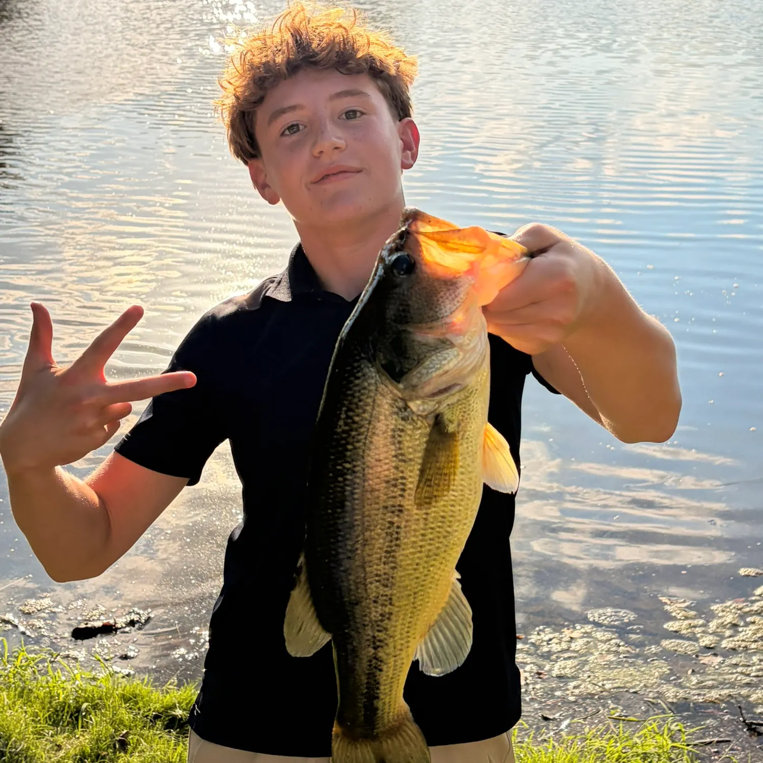 Largemouth bass caught on Fishbrain