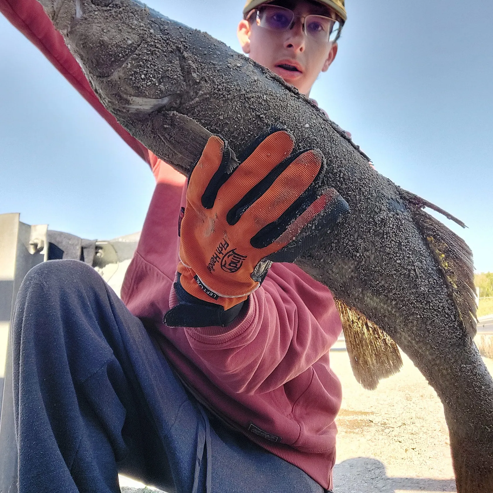 Walleye caught on Fishbrain