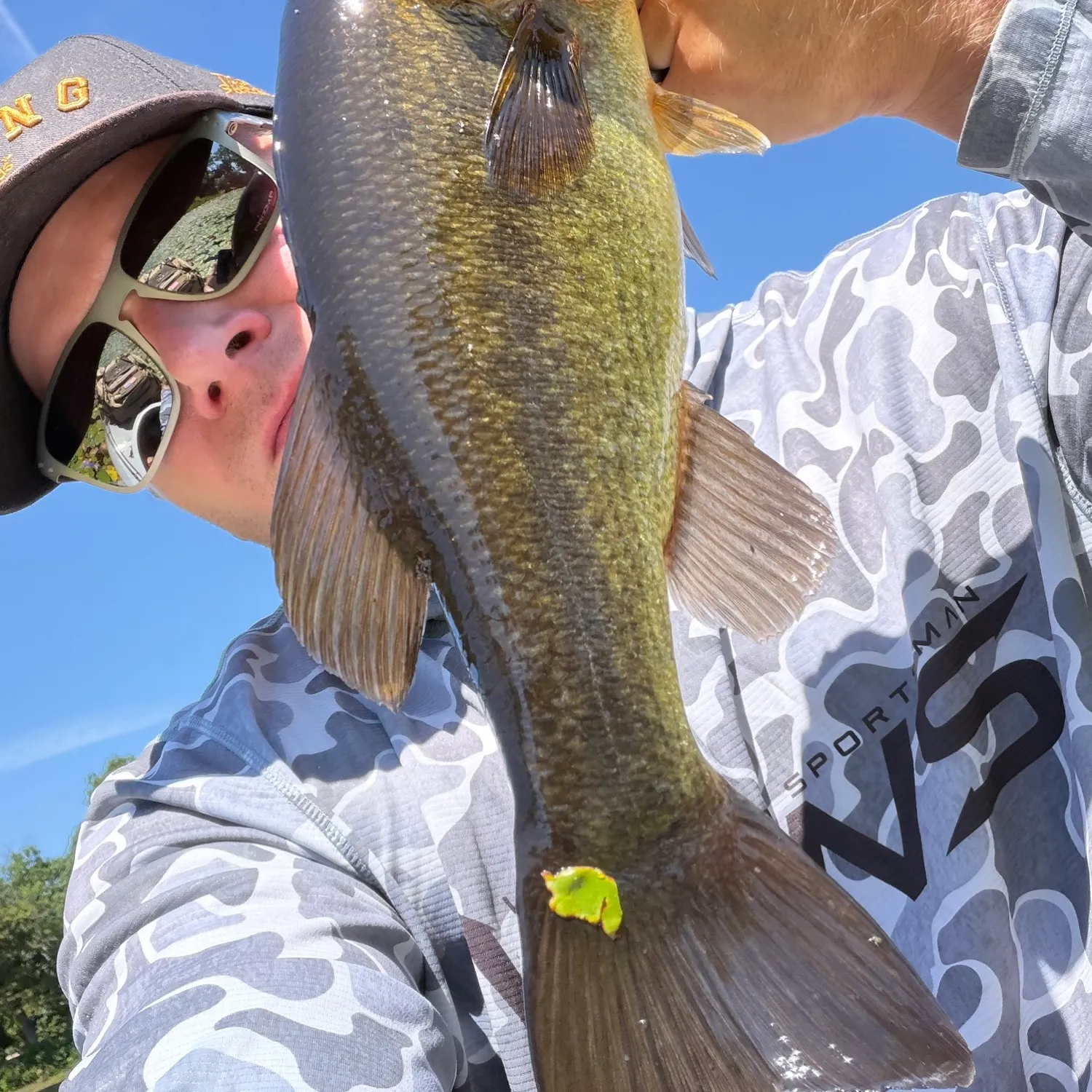 Largemouth bass caught on Fishbrain