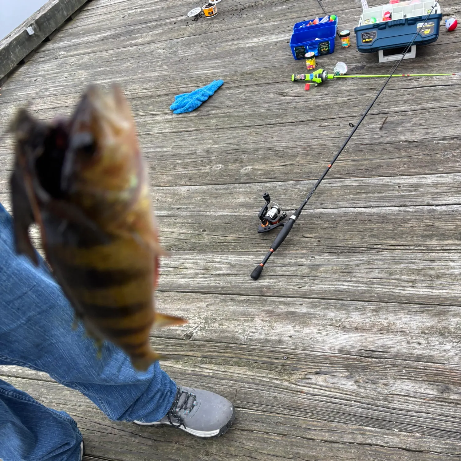 catch