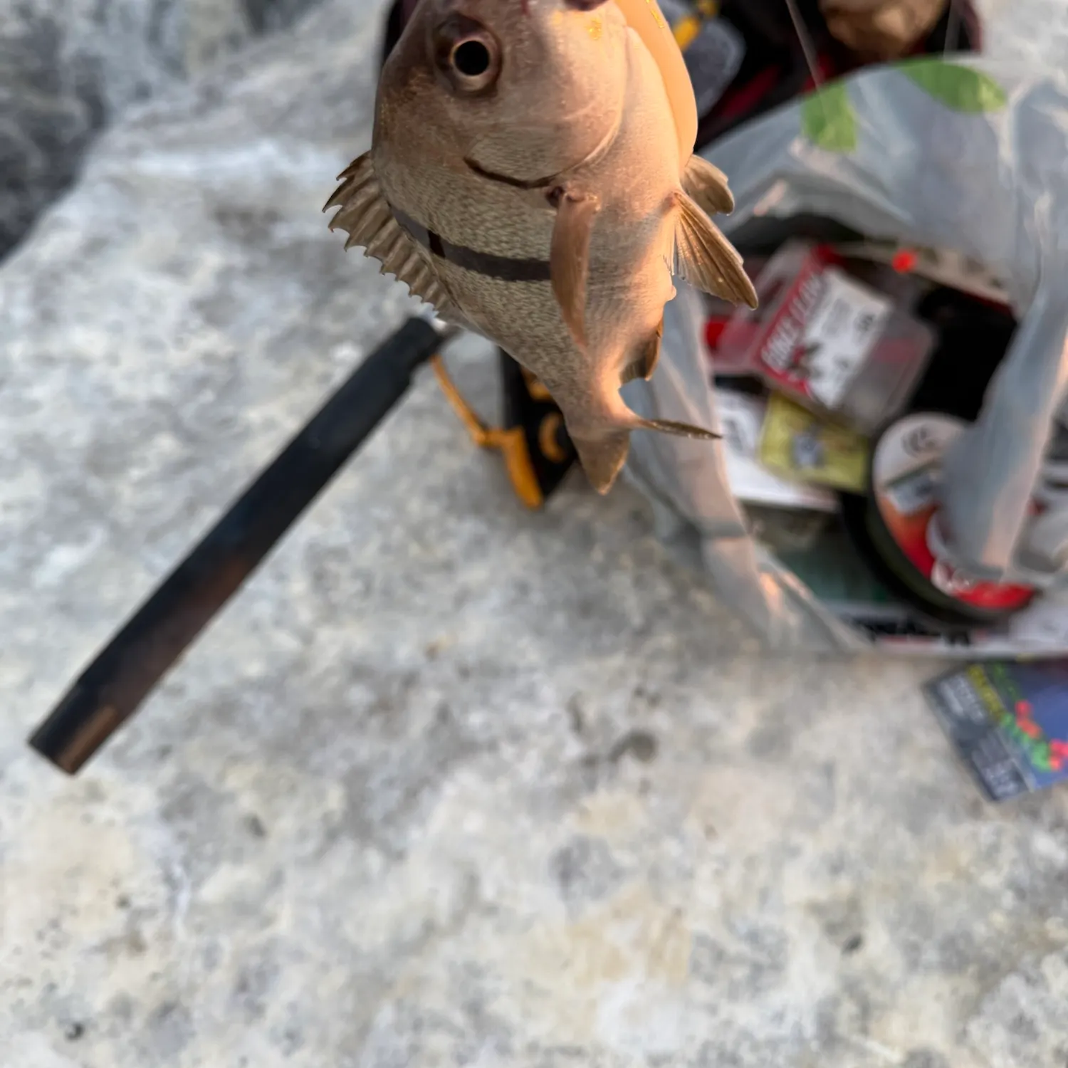 catch