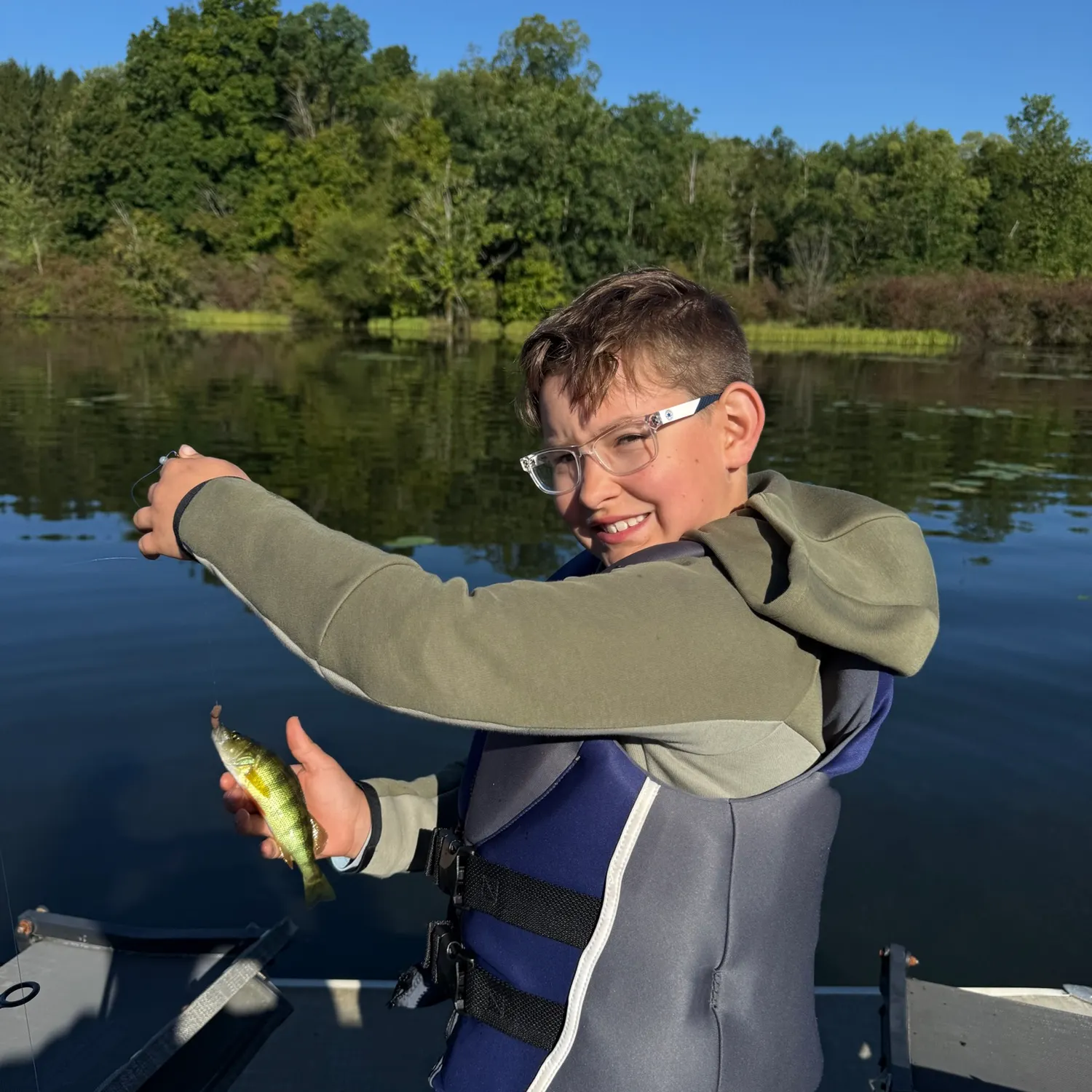Yellow perch caught on Fishbrain