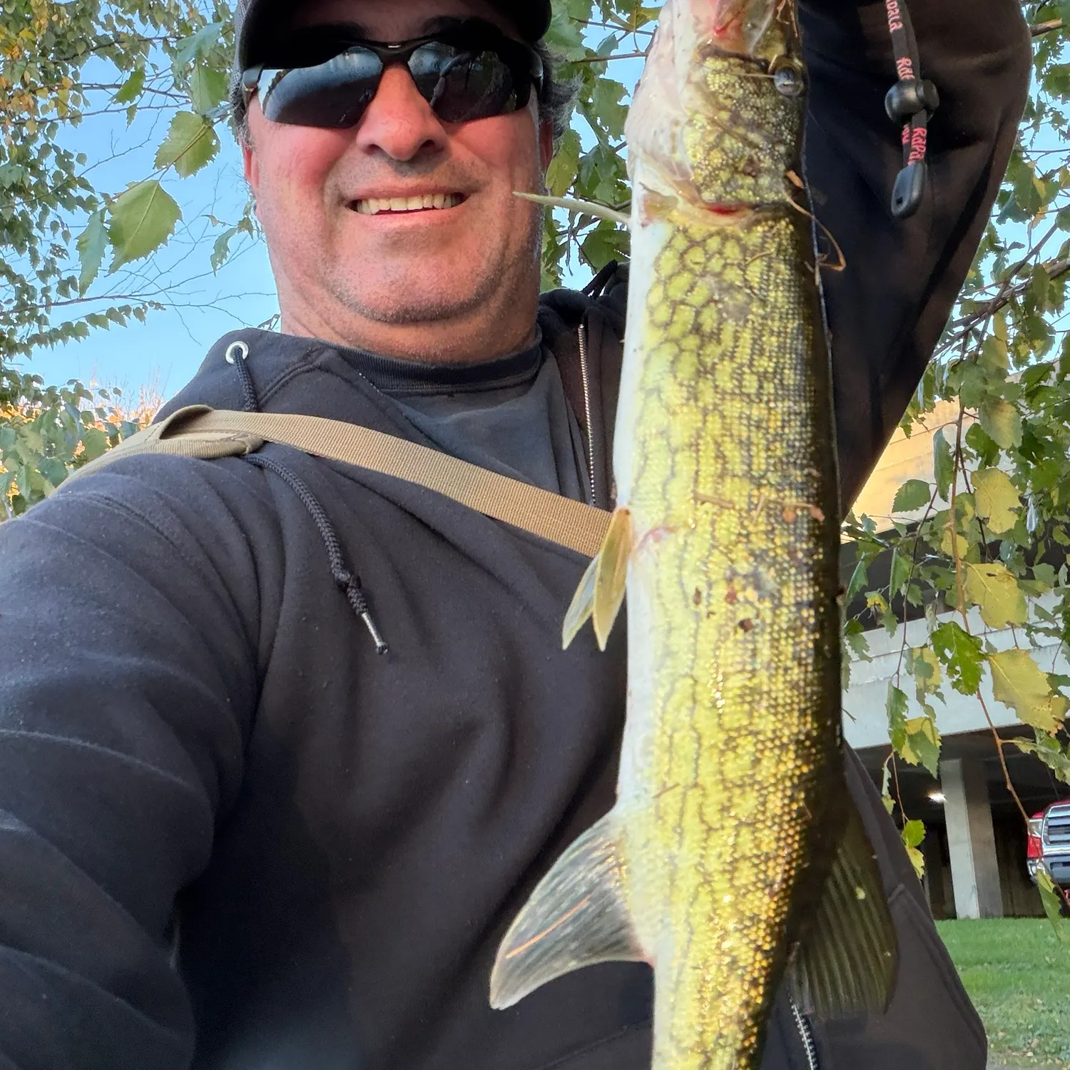 Chain pickerel caught on Fishbrain