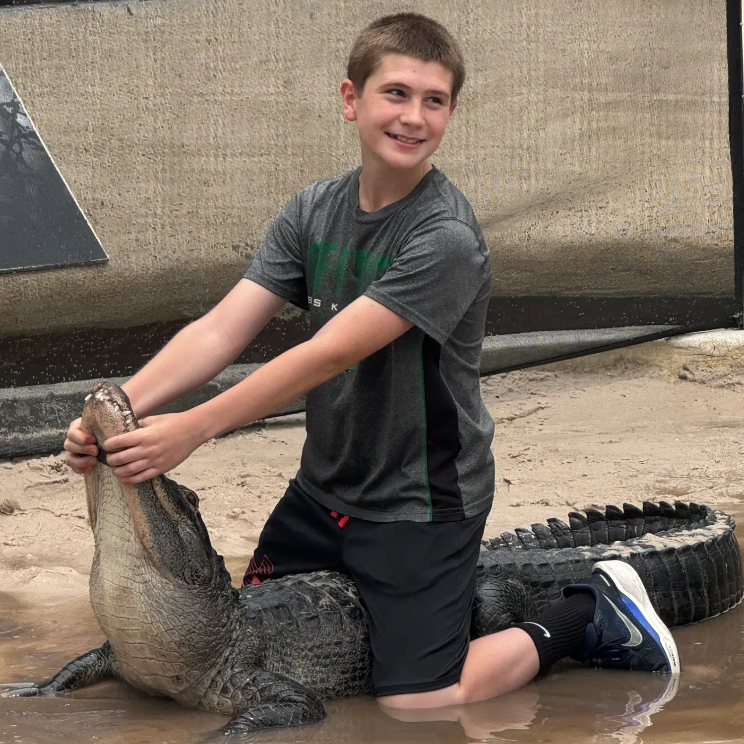 The most recent Alligator gar catches on Fishbrain