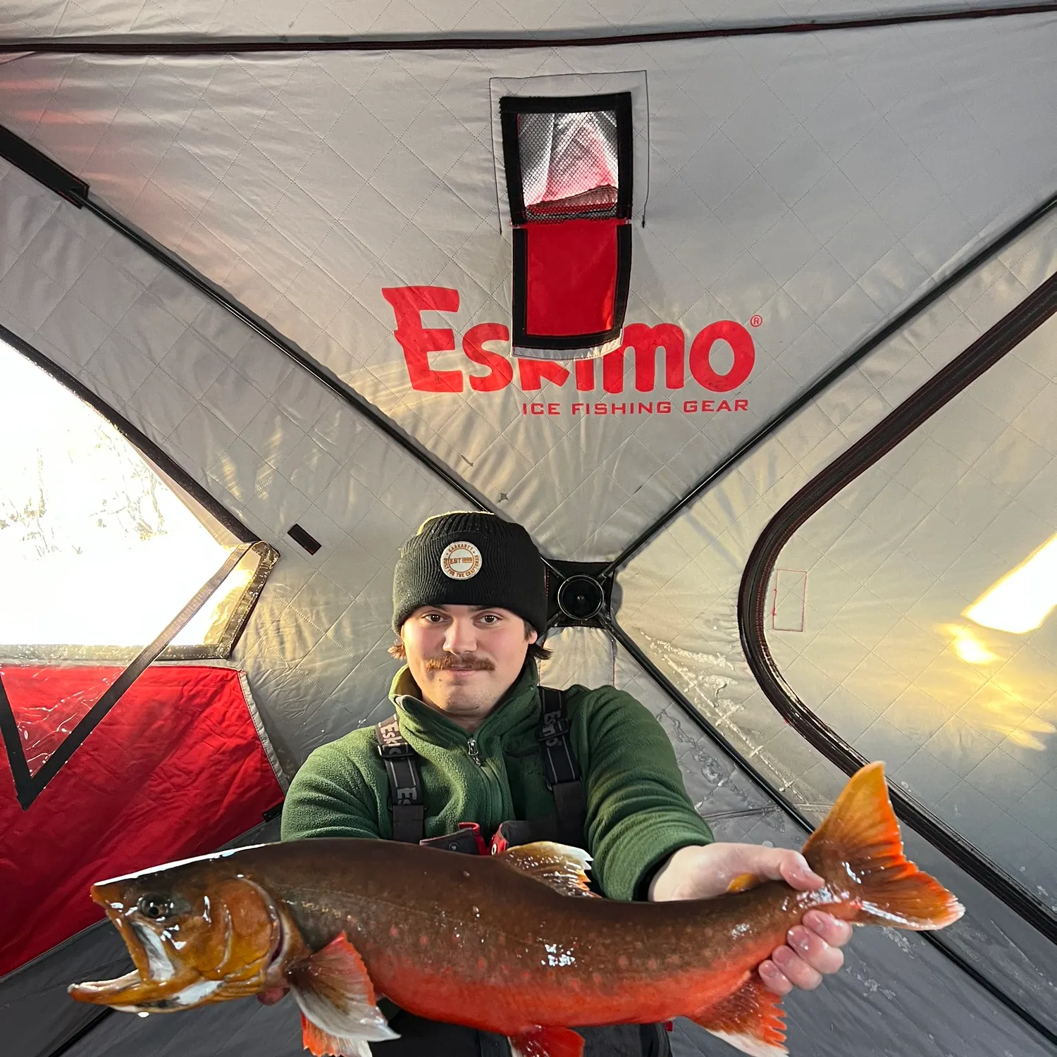 The most recent Arctic char catches on Fishbrain
