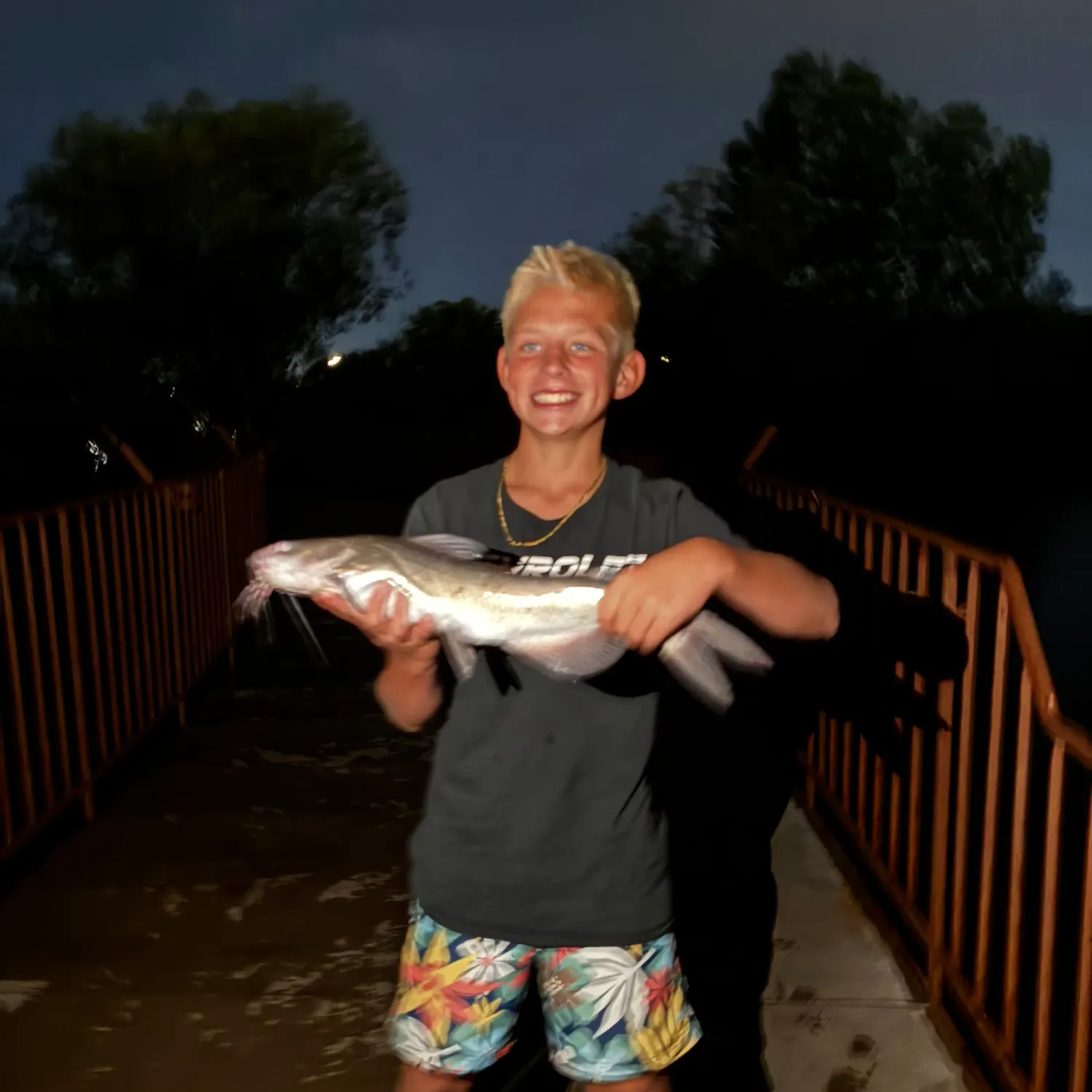 Channel catfish caught on Fishbrain