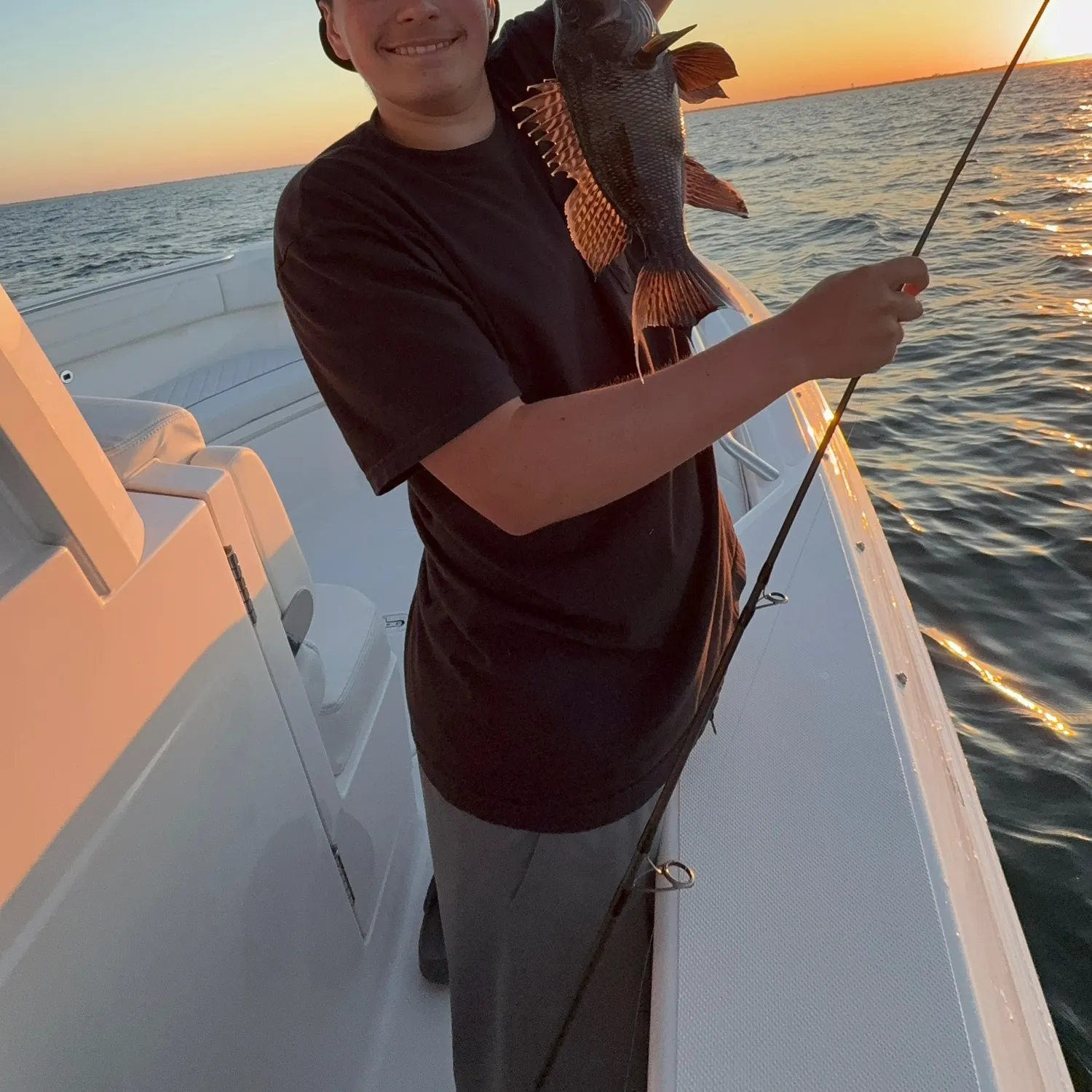 The most recent Black sea bass catches on Fishbrain