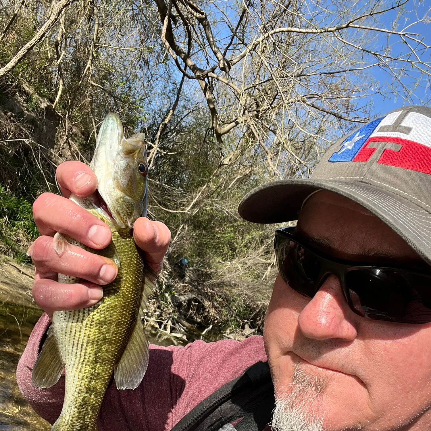 The most recent Guadalupe bass catches on Fishbrain