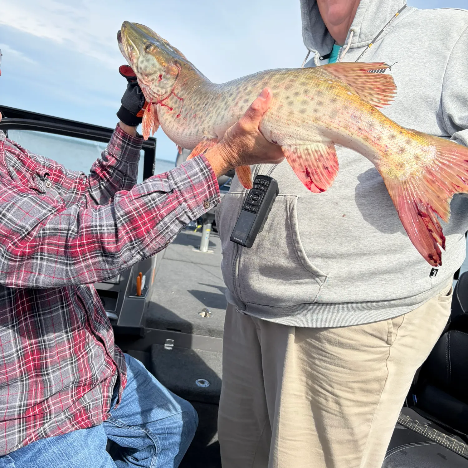 Muskie caught on Fishbrain