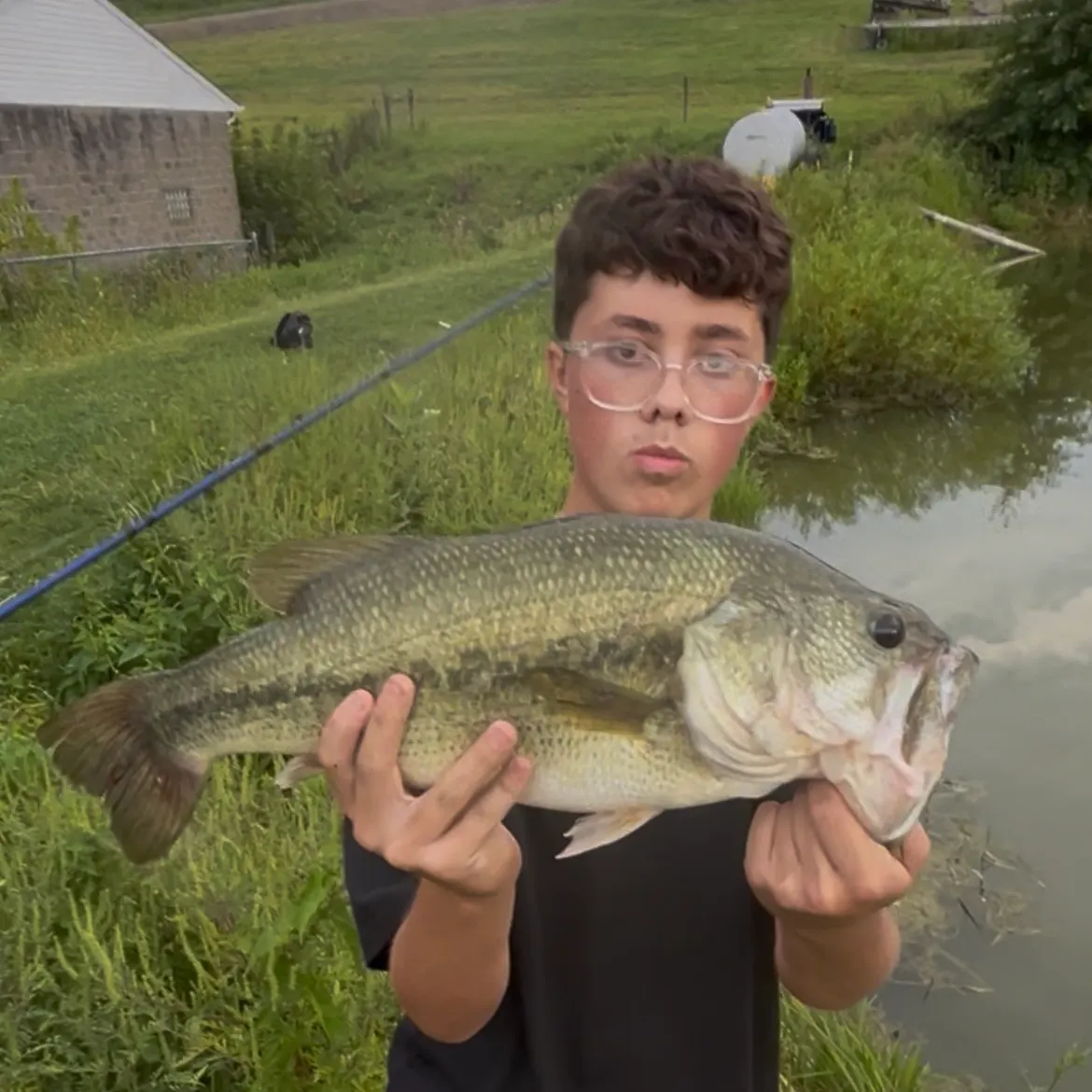 Largemouth bass caught on Fishbrain