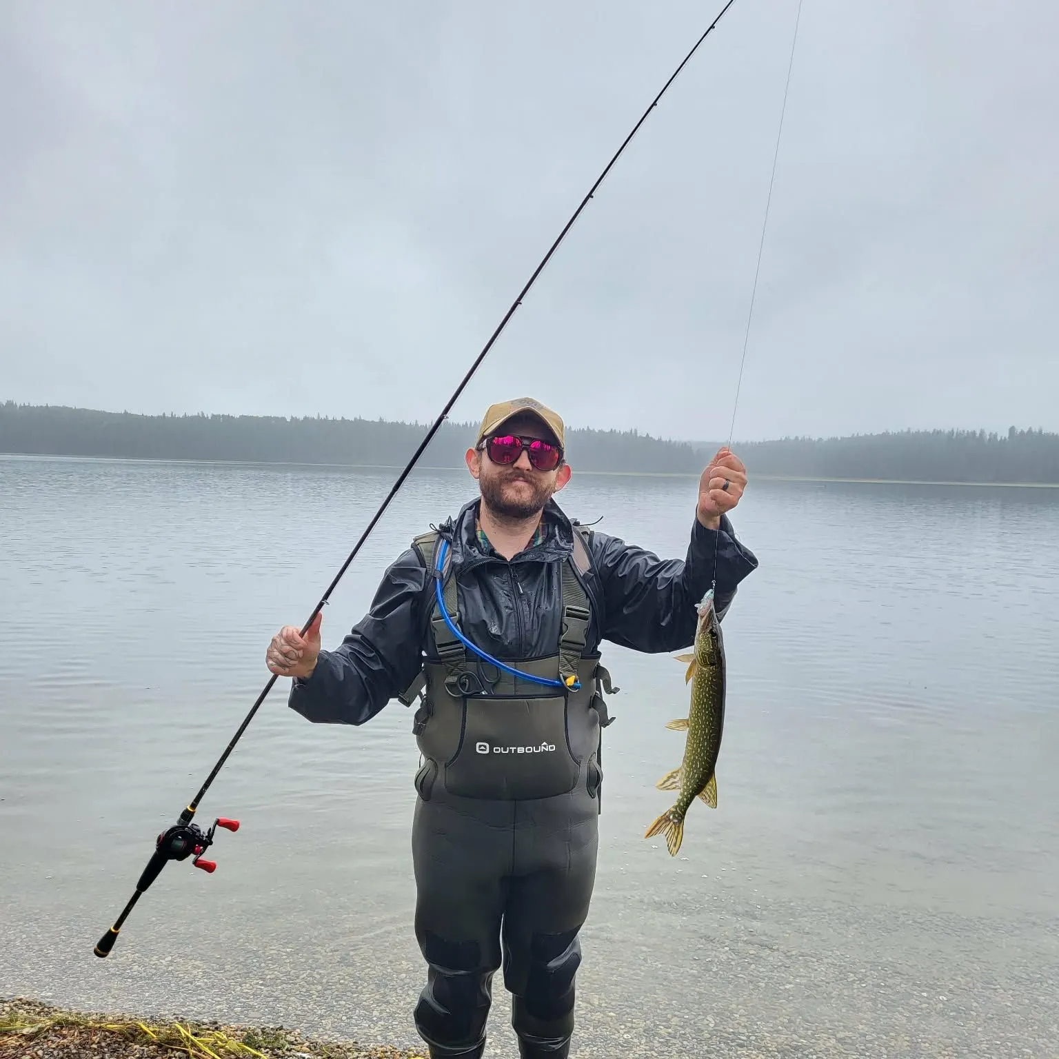 Northern pike caught on Fishbrain