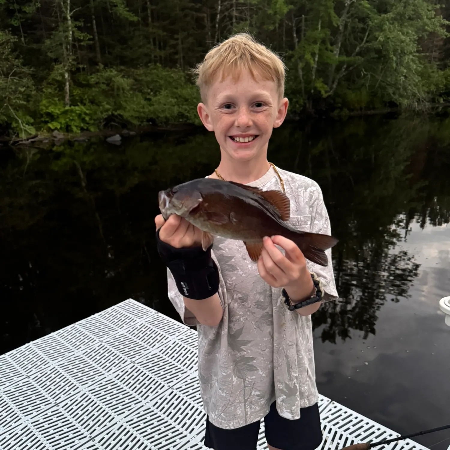 Smallmouth bass caught on Fishbrain