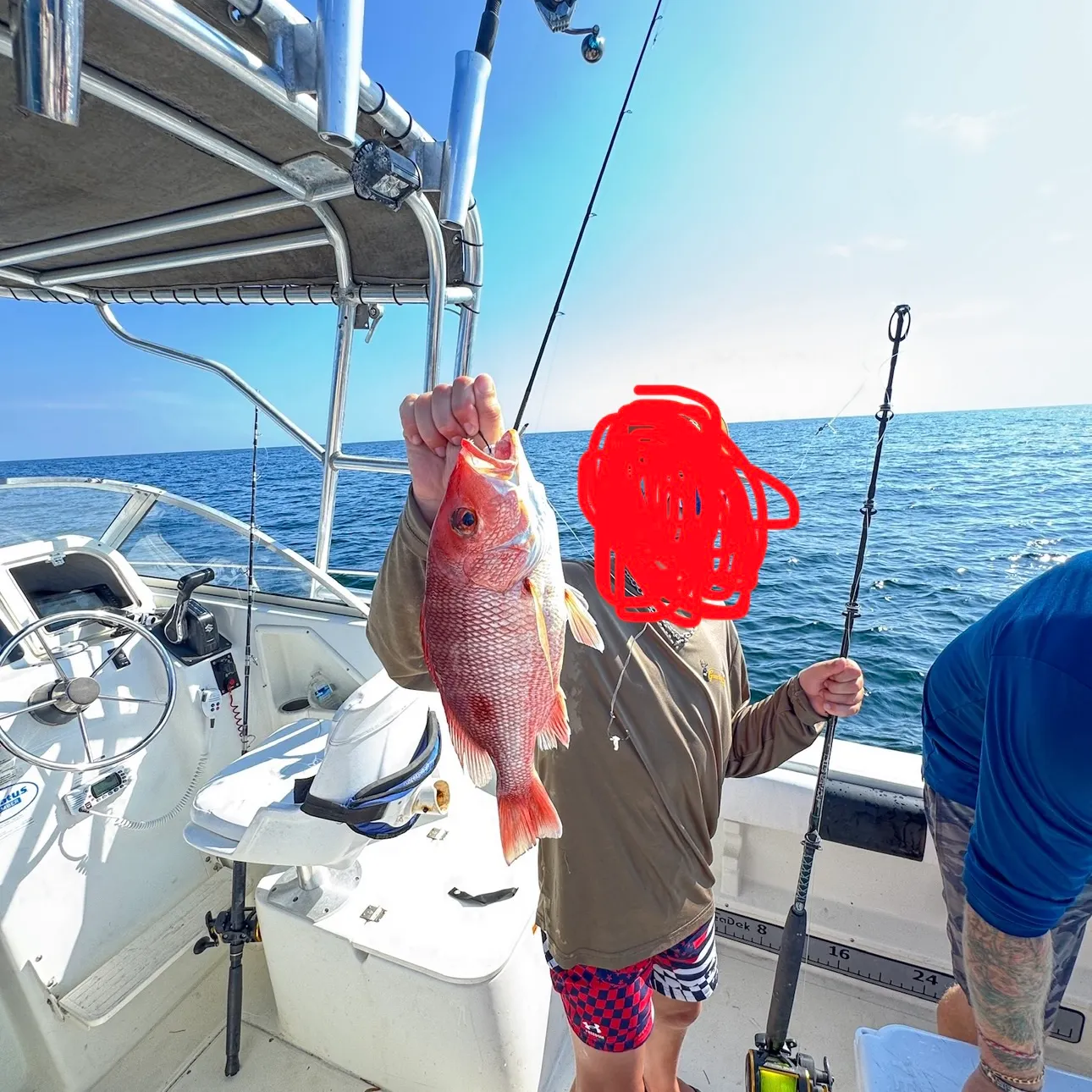 The most recent Northern red snapper catches on Fishbrain