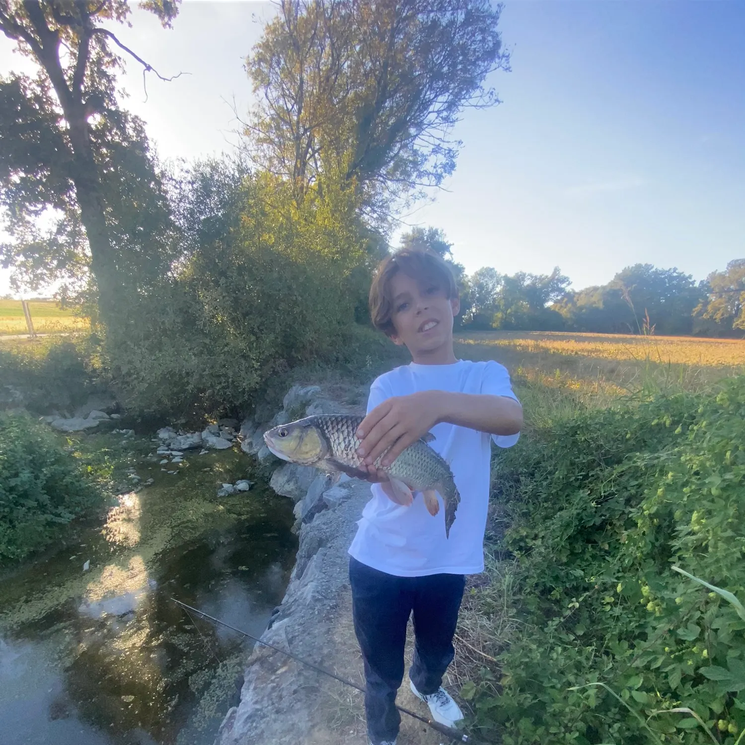 European chub caught on Fishbrain