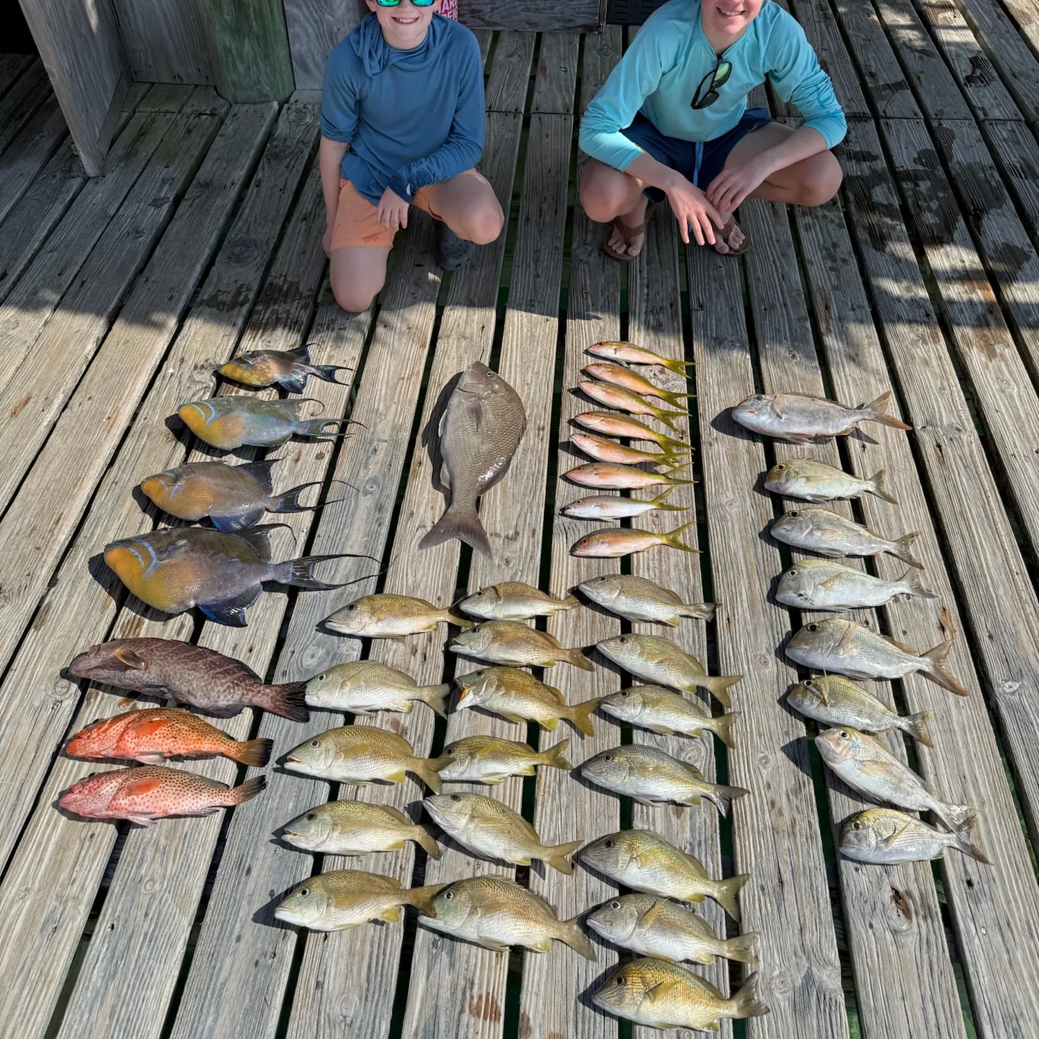 The most recent Queen triggerfish catches on Fishbrain