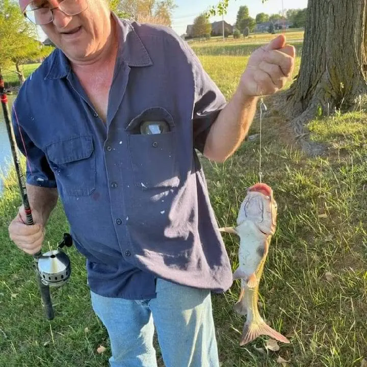 angler catch