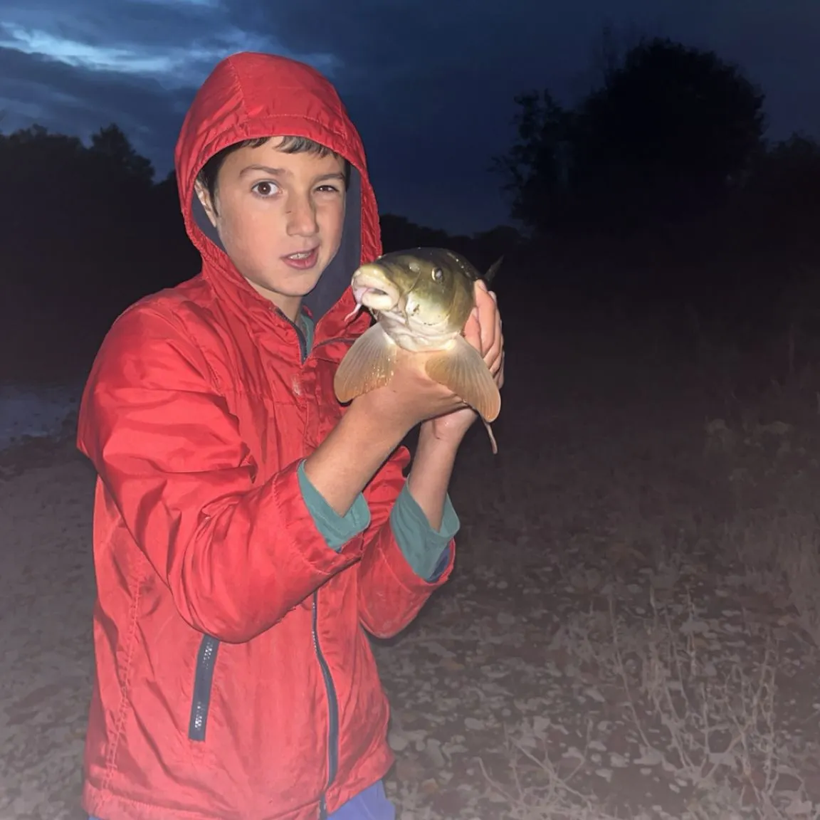 The most recent Common barbel catches on Fishbrain