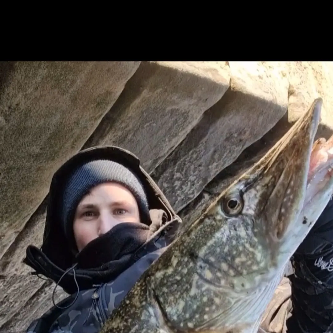 The most recent Northern pike catches on Fishbrain