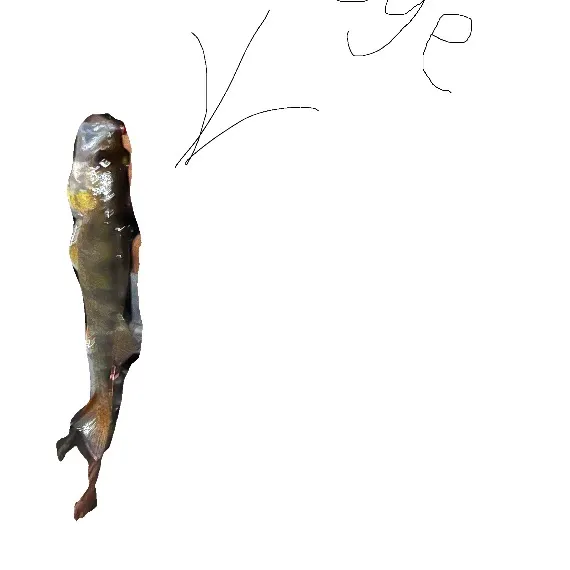 Walleye caught on Fishbrain