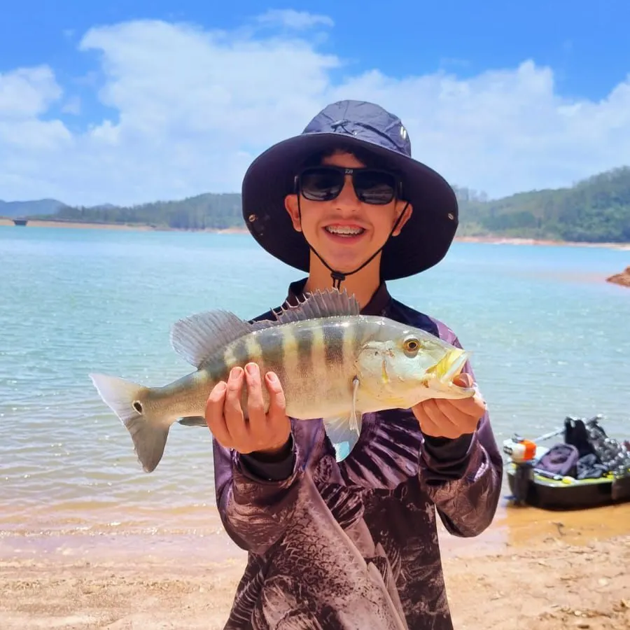 The most recent Blue peacock bass catches on Fishbrain