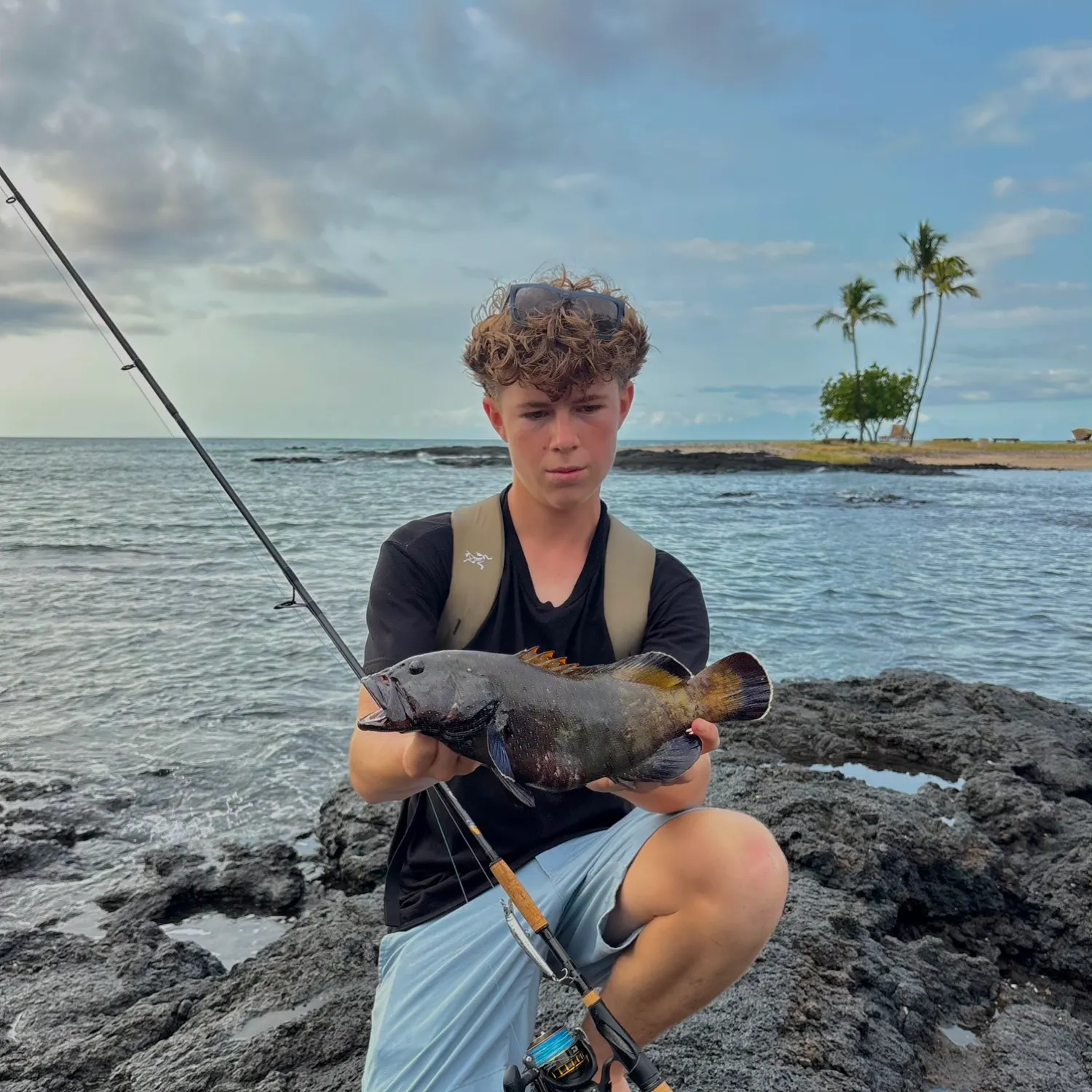 The most recent Peacock hind catches on Fishbrain