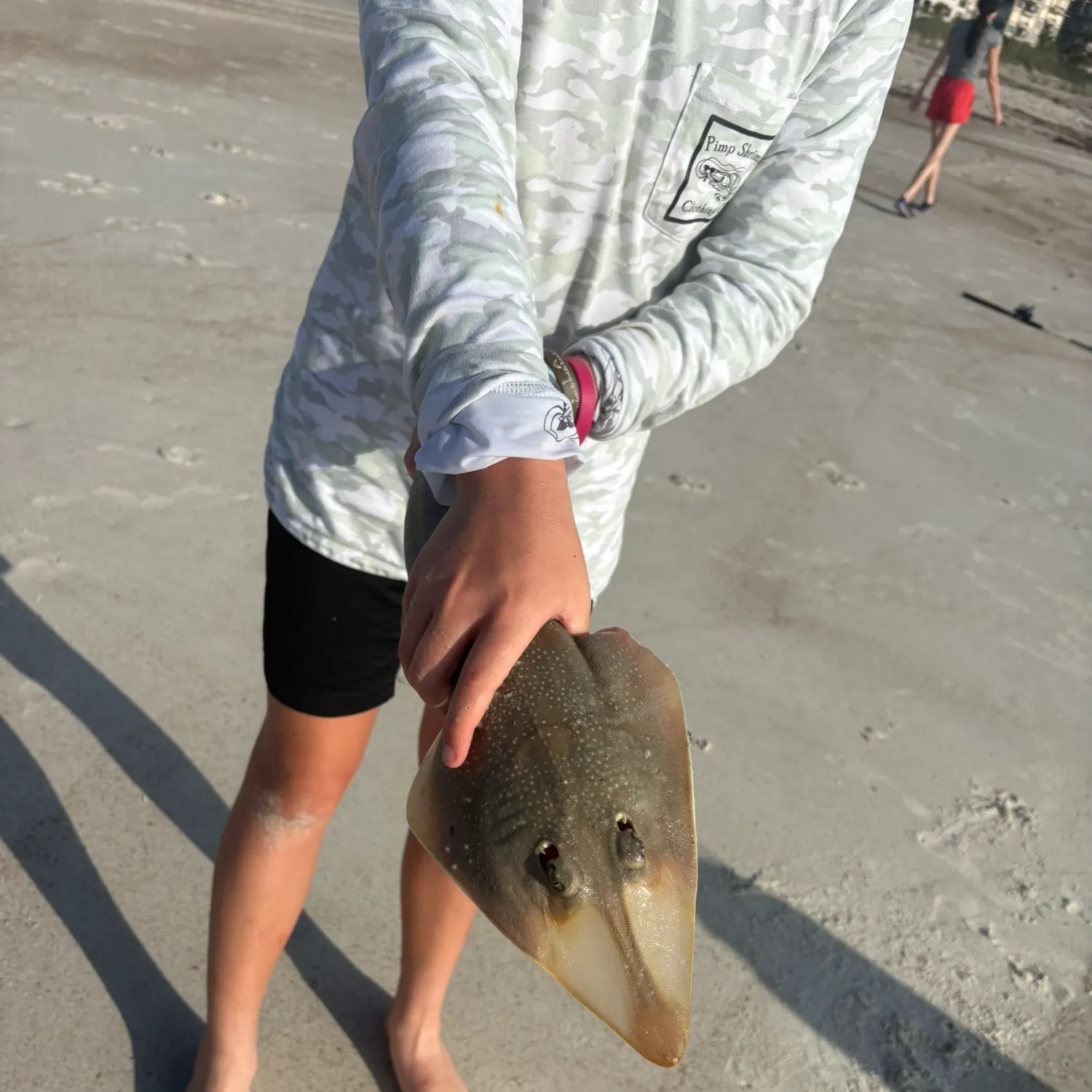 The most recent Blue skate catches on Fishbrain