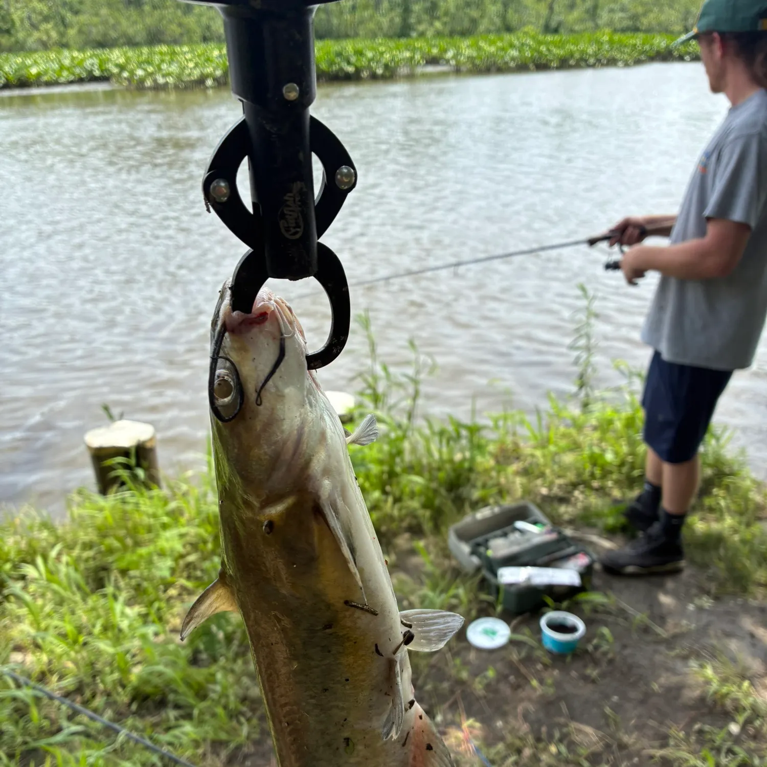 catch
